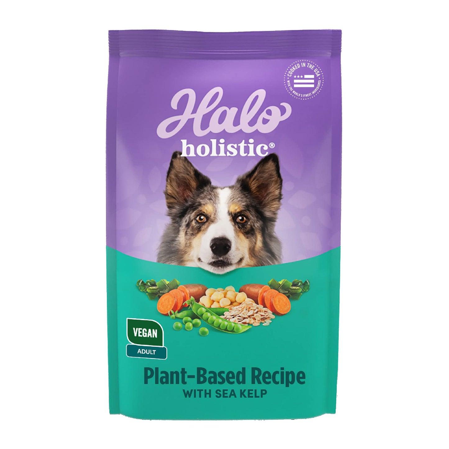 Halo Holistic Vegan Dog Food, Plant-Based Recipe with Kelp, Dry Dog Food, Complete Digestive Health, Kibble for Adult Dogs, 21 lb Bag