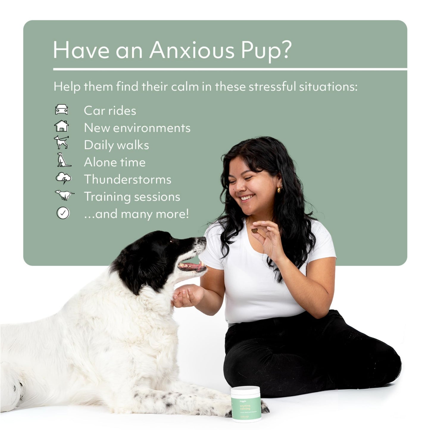 Reggie Anytime Calming Chews for Dogs | Natural Anxiety Relief with L-Theanine & Magnolia Barks | Calming Dog Treats for Separation Anxiety, Thunderstorms, Travel & Stress | 60 Soft Chews