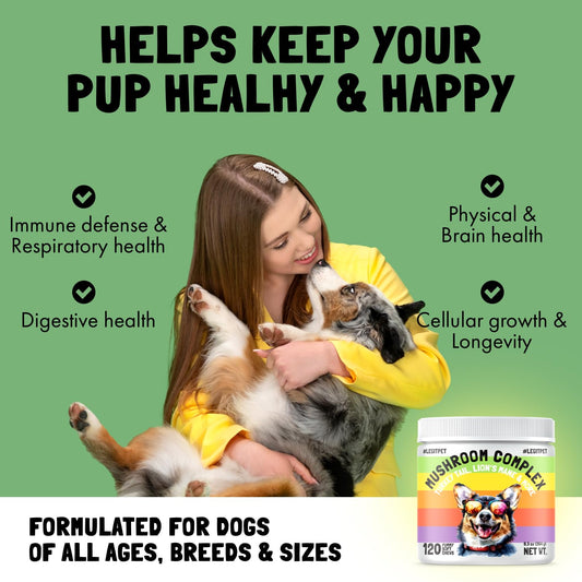 Wild Alaskan Salmon Oil for Dogs & Cats 32 oz and Mushroom Complex Treats for Dogs with Reishi Shiitake and Turkey Tail Mushrooms for Cognition and Immune Boosting Supports 120 Chews
