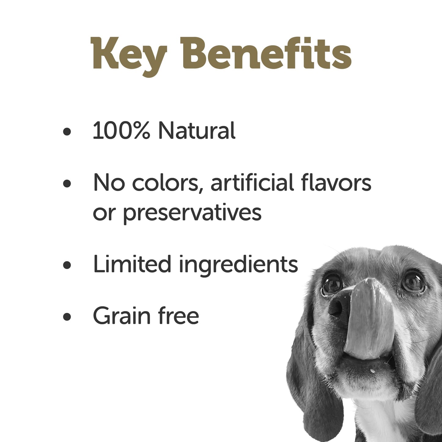 Applaws Taste Toppers, Bone Broth for Dogs, Grain-Free, Limited Ingredient, Chicken Bone Broth with Turmeric & Parsley (6 x 7.1oz Pouches)