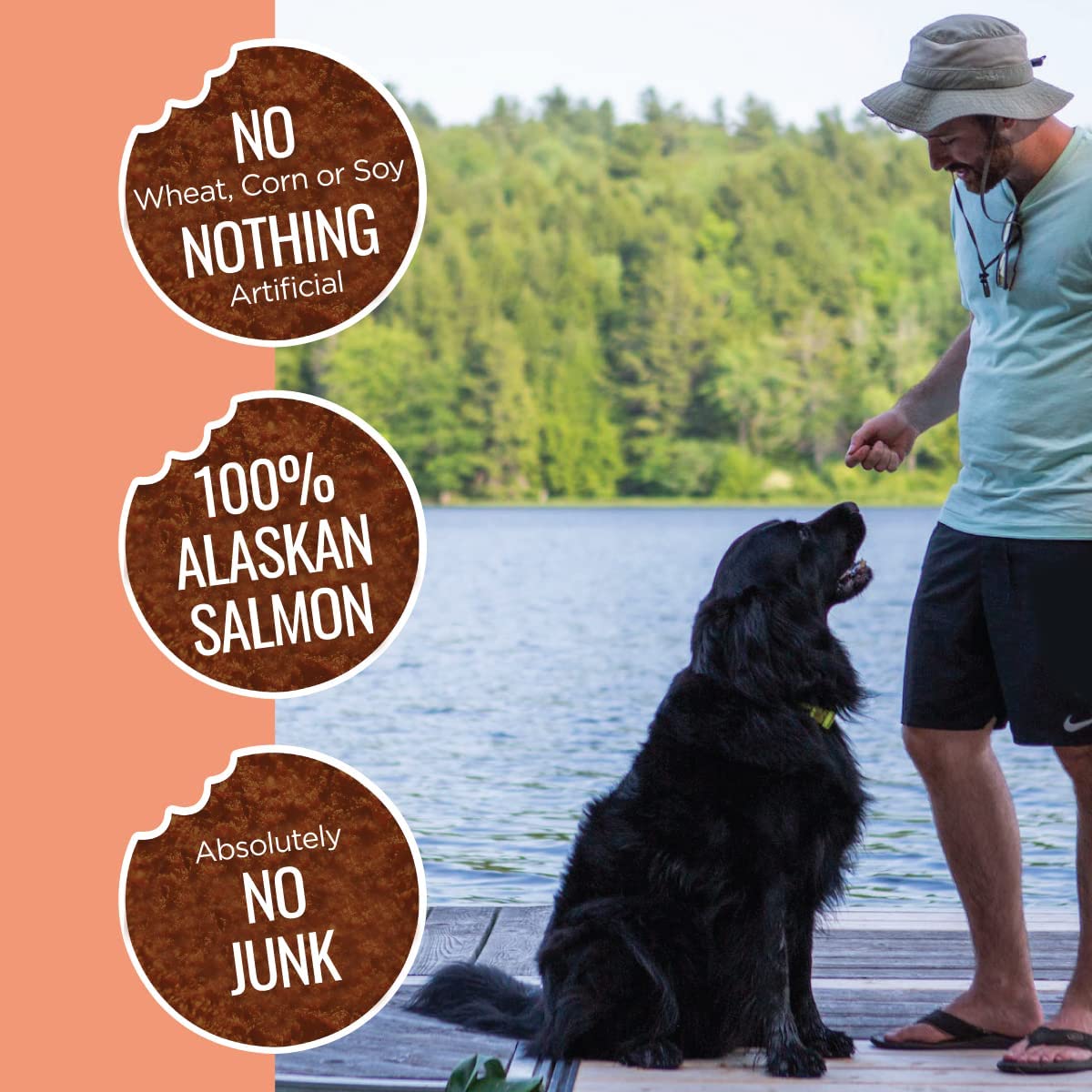 Smart Cookie Freeze Dried Salmon Bites - Single Ingredient Freeze Dried Treats for Dogs - Wild Caught Alaskan Salmon Dog Training Treats & Dog Food Topper - Made in USA - 2oz Bag, 3 Pack