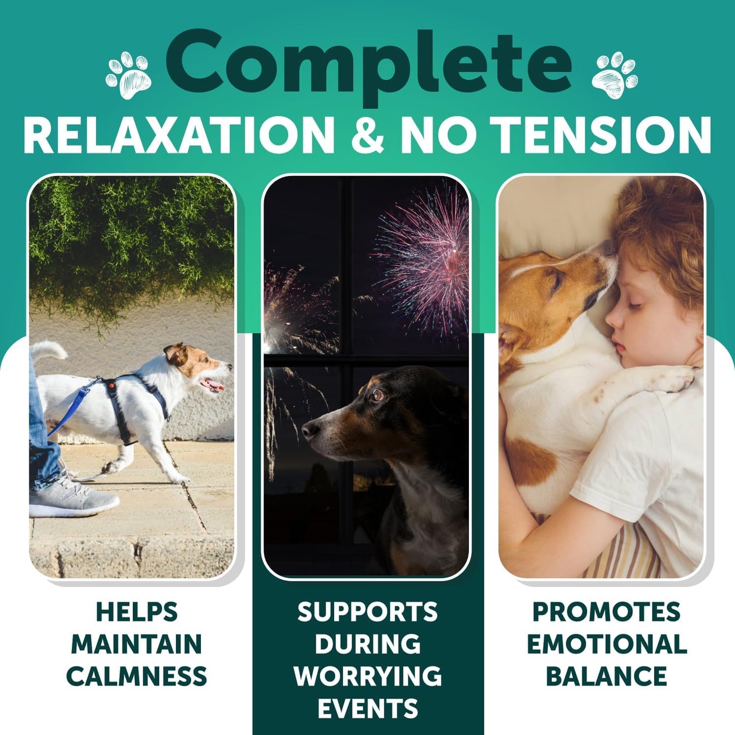 Hemp Calming Chews + Hip and Joint Supplement for Dogs Bundle - Dog Calming Chews - Dog Anxiety Relief Treats - Dog Joint Pain Relief Treats - Hip and Joint Support - Glucosamine for Dogs - MSM