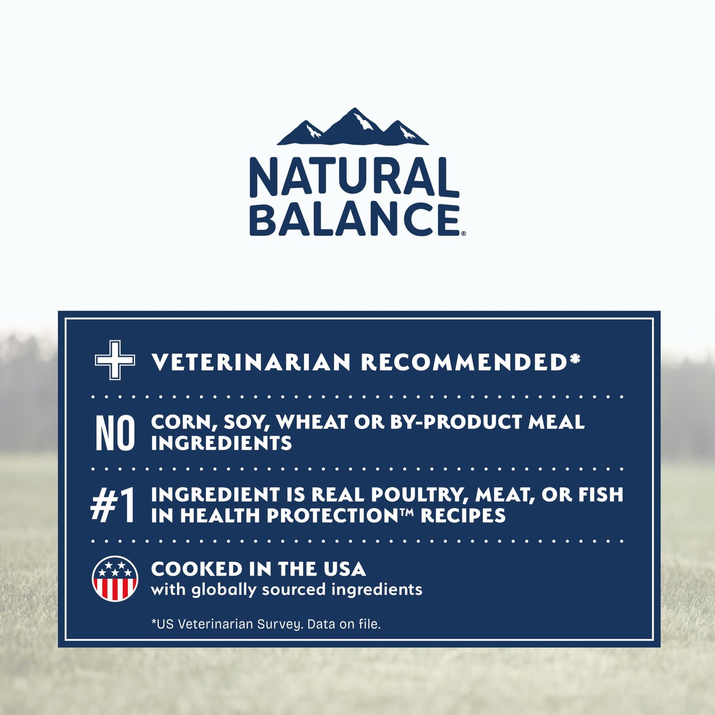 Natural Balance Health Protection Small Breed Dry Dog Food – Whole Body Health, Easy on Digestion Dog Food Made with Chicken, Brown Rice & Pumpkin for Dogs - 12lbs.