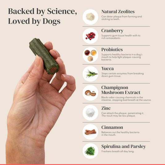 Dental Chews for Dogs – Scrapes Plaque, Freshens Breath, Fights Tartar – Dual-Layered Dog Dental Treats with Probiotics – Vet Formulated with 16 Active Ingredients – All Dog Sizes – Made in The USA
