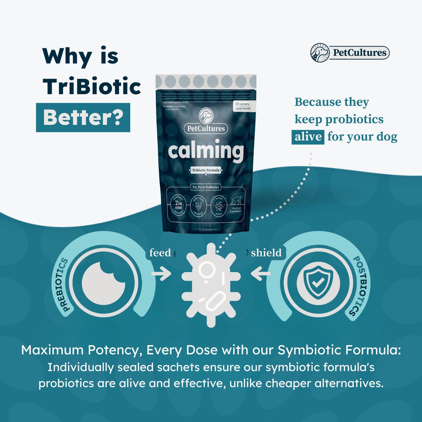 PetCultures Calming Synbiotic Formula - with L-Theanine, L-Tryptophan, Probiotics, and B-Vitamins in 30 Packs
