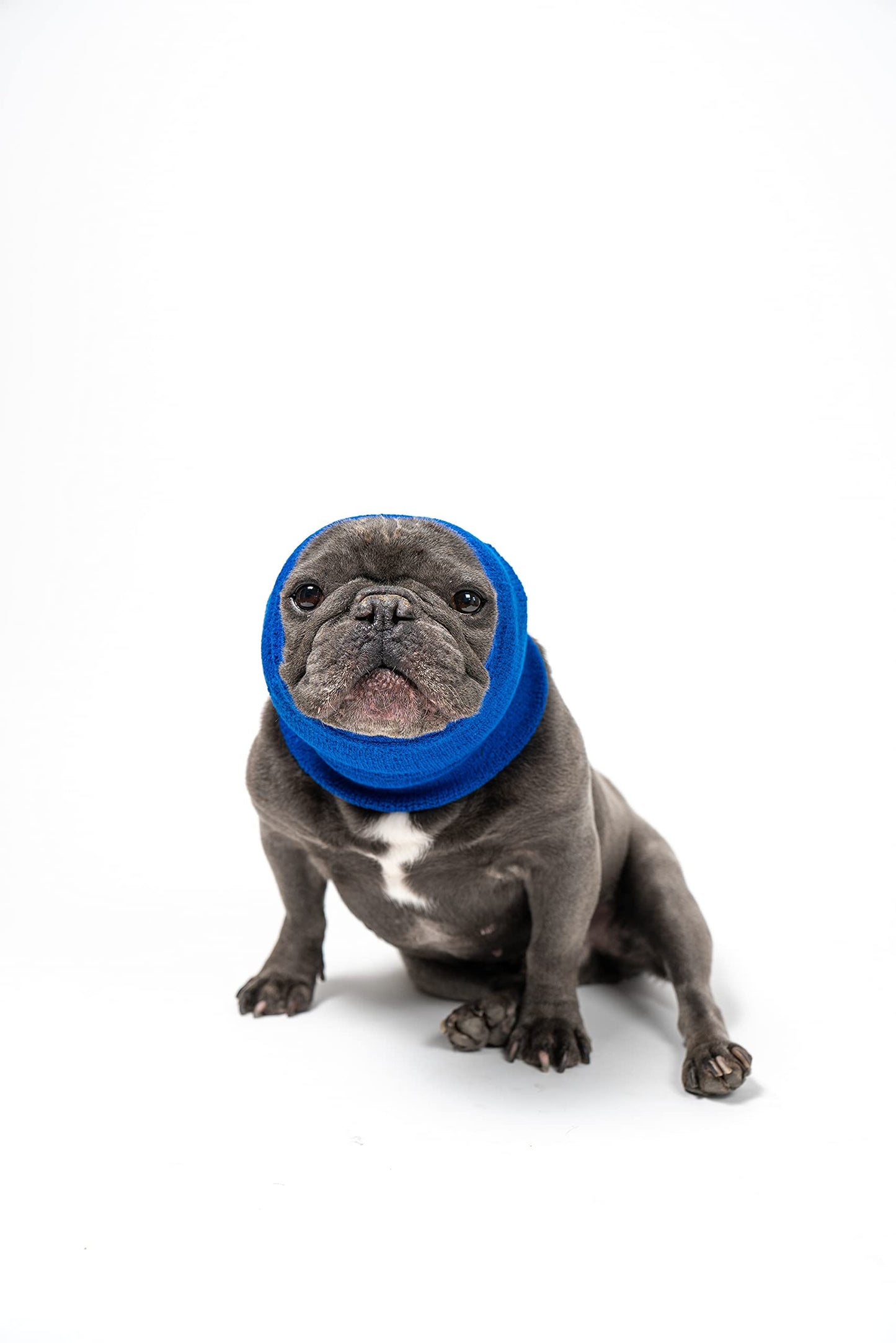 Pet Hoodz for Dogs-Anxiety, Grooming, Ear Muffs, Ear Protection, Calming Hood, Ear Compression, Pet Hoodie, Hoodie, Ear Wrap