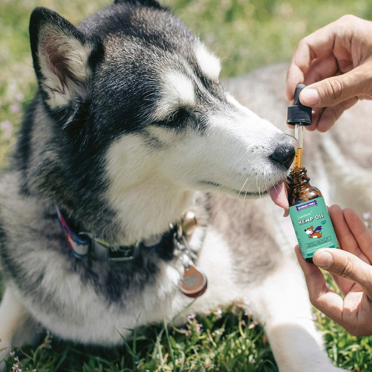 WONDER PAWS Organic Hemp Oil for Dogs – 9,000 mg of Hemp Oil with Alaskan Salmon Oil & Omega 3 Fatty Acids - Hemp for Pets, Joint Health, Anxiety Relief, Calming, Skin & Immune – 60 ml Hemp Oil Drops
