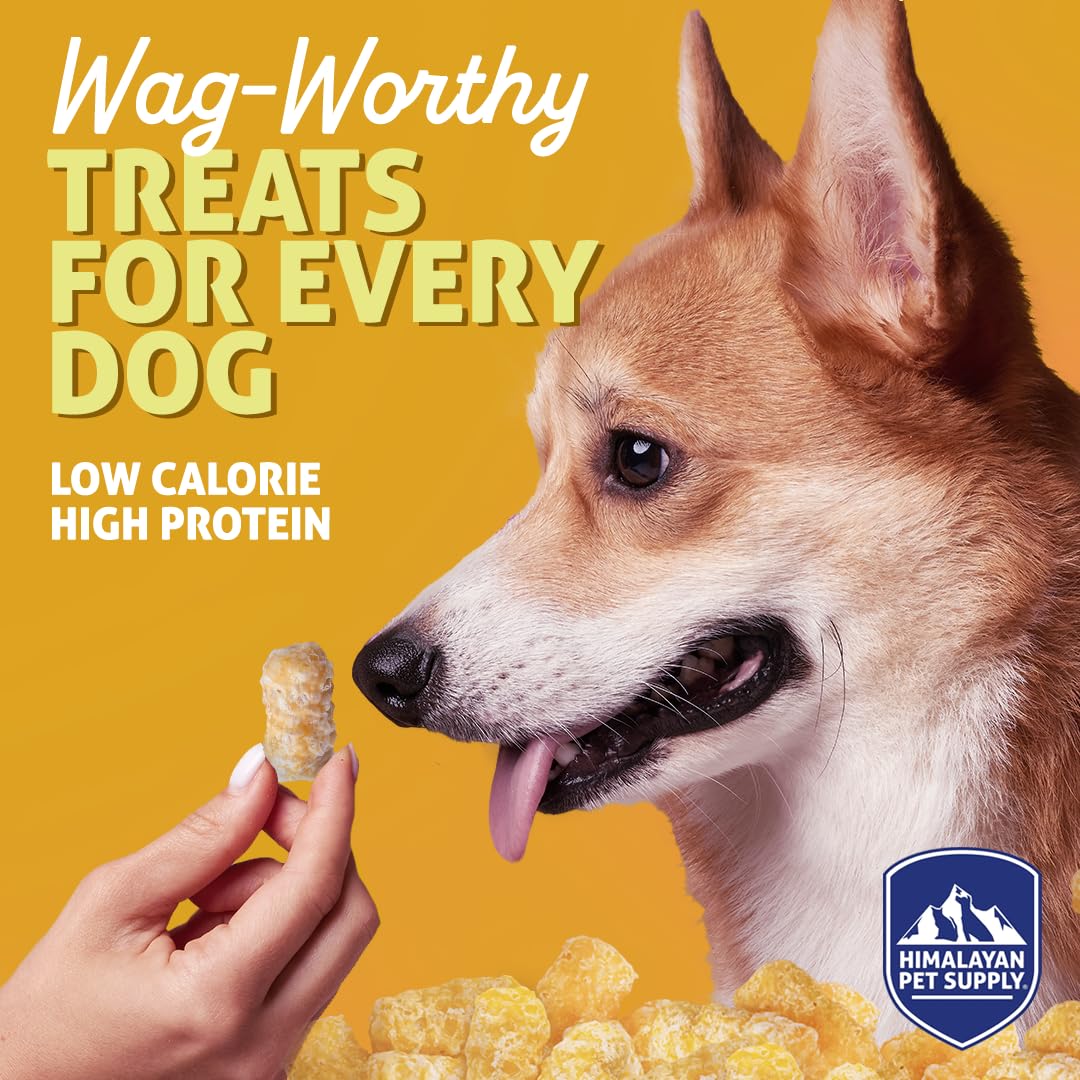 Barkeetos Dog Treats Variety Pack – Peanut Butter, Bacon, Cheese & Chicken – Crunchy Cheesy Snacks with Real Himalayan Cheese – Grain Free, Gluten Free, Lactose Free – for All Breeds - 4 Pack