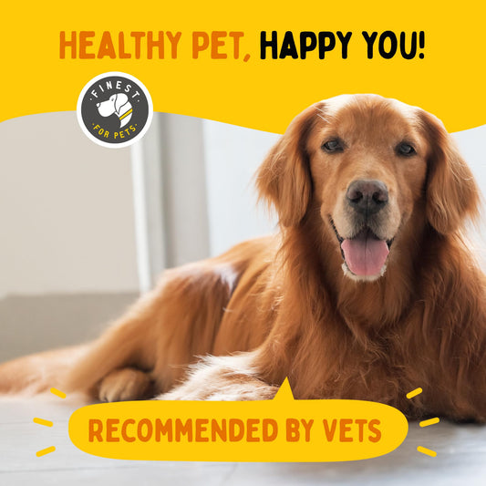 Finest For Pets Dog Allergy Relief - Dog Allergy Chews Itch Relief, Seasonal Allergy Support for Itchy Skin, with Omega 3, Pumpkin & Probiotics (120 Soft Chews)