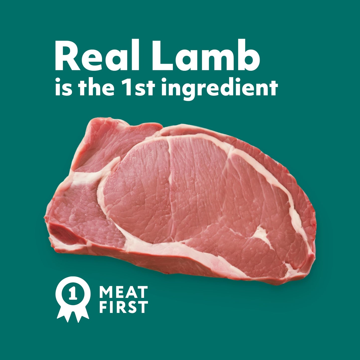 Optimeal Small Breed Dry Dog Food – Small Kibble for Small Dogs, High Protein, Natural Ingredients, Skin & Digestive Support, Premium Balanced Nutrition, European Quality (Lamb & Rice, 3.3 lbs)