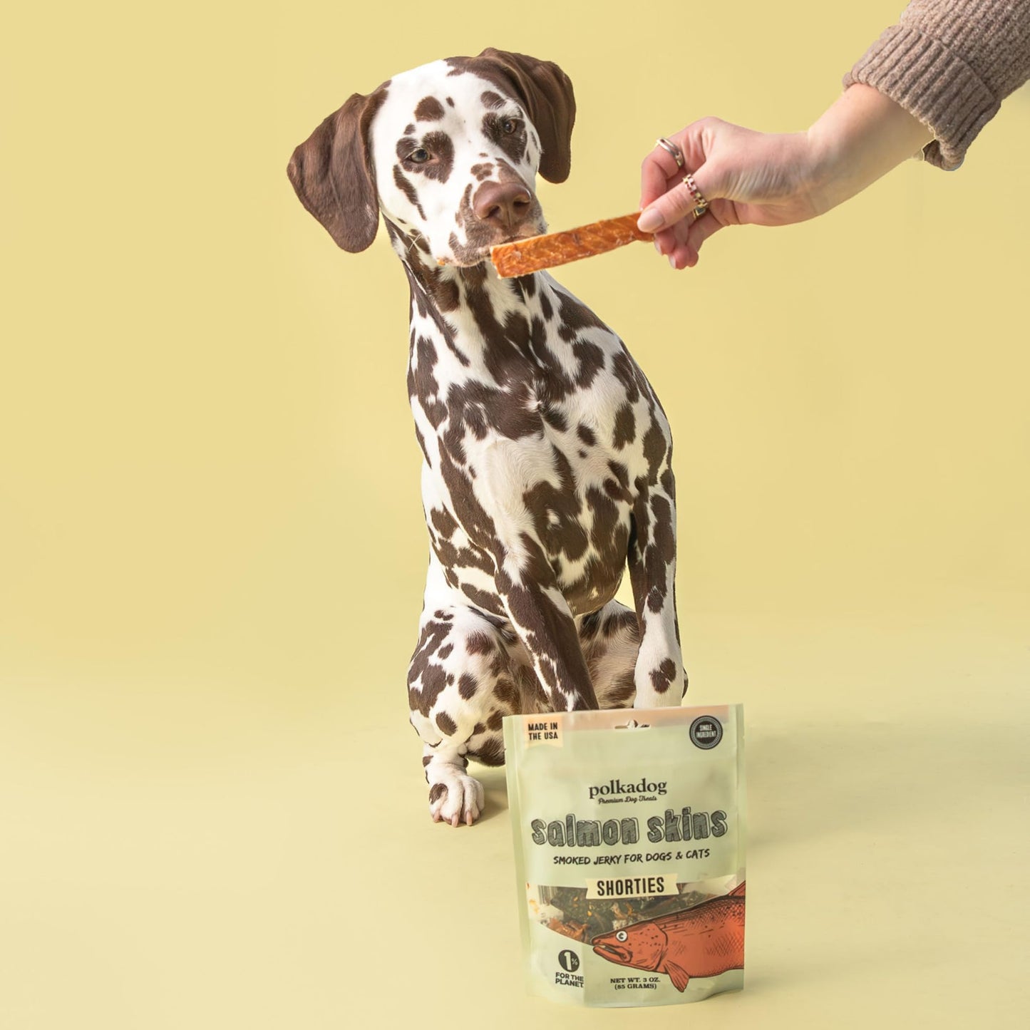 Polkadog Salmon Skins for Dogs (3oz Shortie) – All-Natural Dog Treats – Made in USA, Single Ingredient, Omega-3 Rich, Grain-Free & Hypoallergenic Salmon Jerky for All Breeds