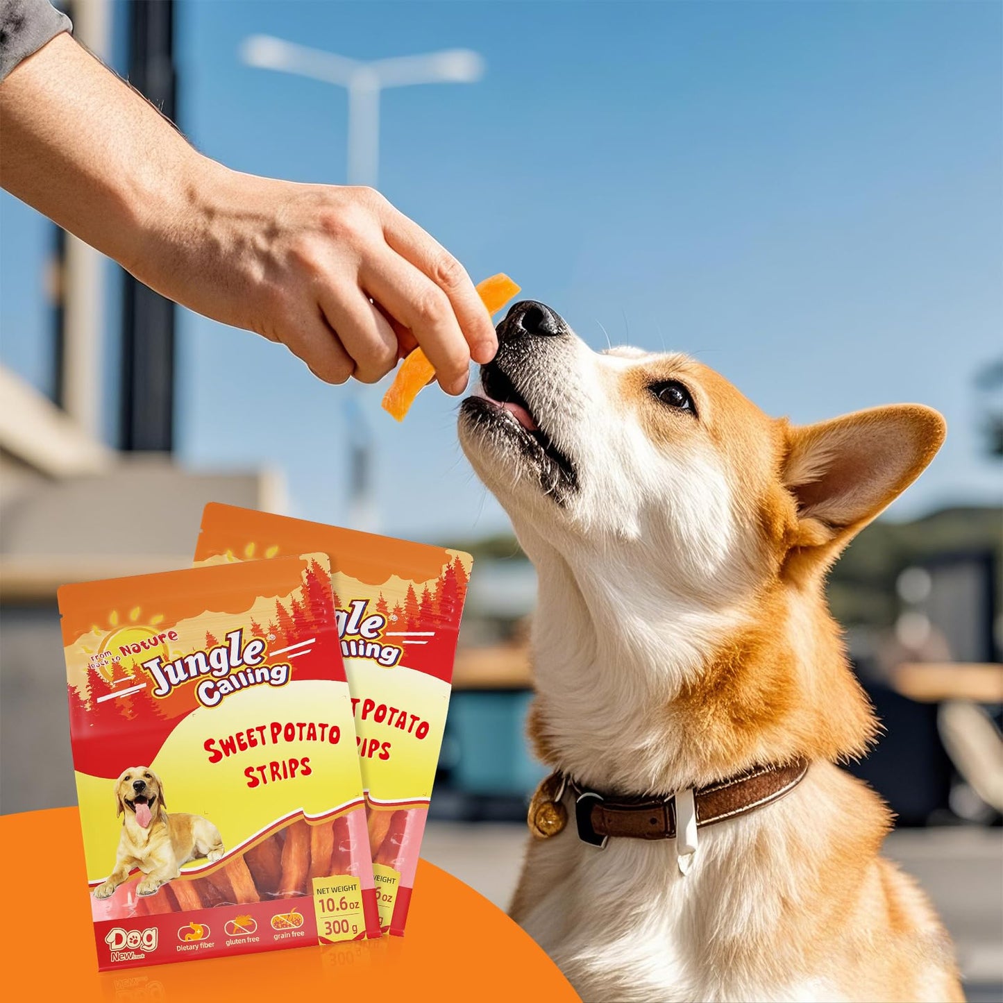 Jungle Calling Sweet Potato Dog Treats,Low Fat Natural Soft Chews for Weight Management, Single Ingredient and Grain Free Healthy Snacks Puppy Adult Dogs,10.6oz