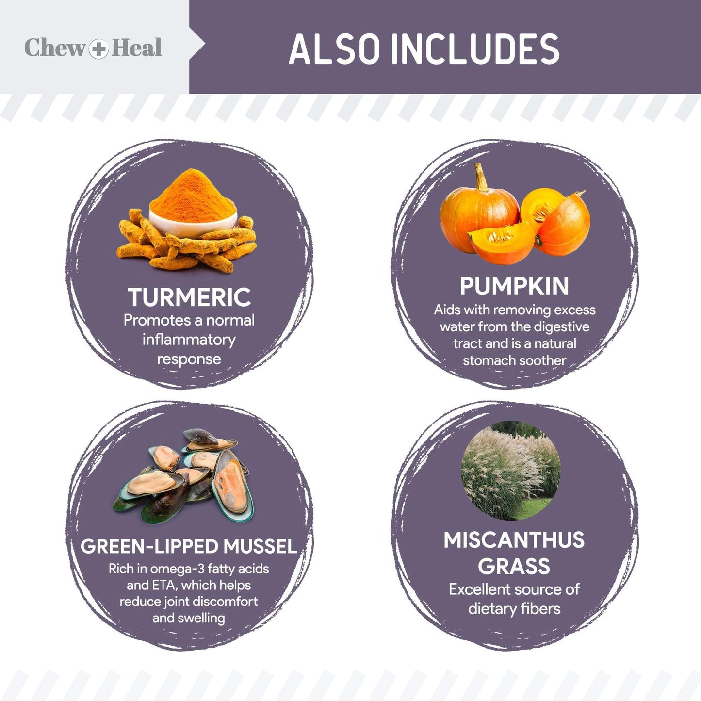 Seniors Soft Jerky Salmon Dog Treats - 12 oz of Omega Dog Joint Supplement, Wild Caught Salmon and Turmeric Jerky - Made in The USA