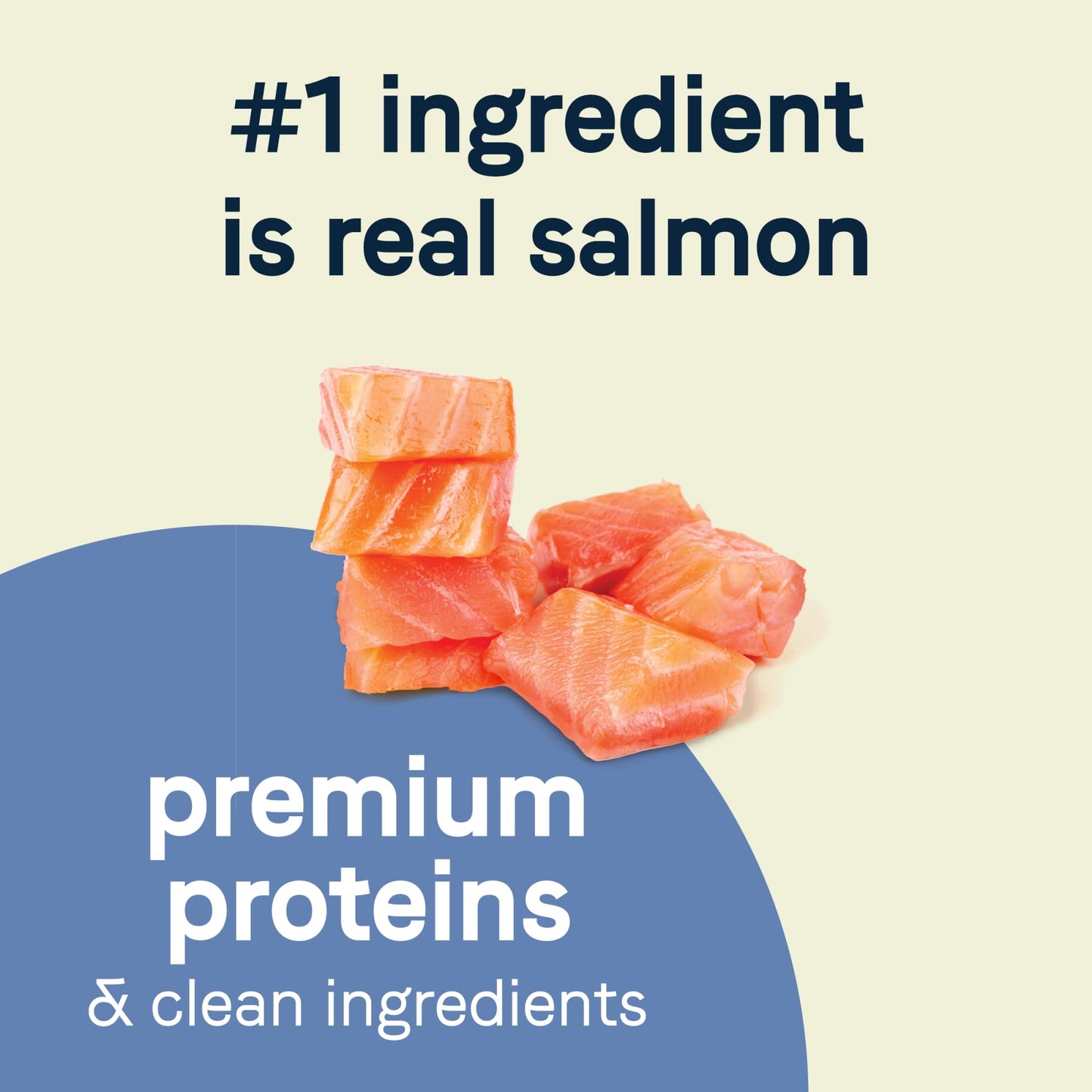 Canidae Pure Petite Premium Freeze-Dried Raw Coated Dog Food for Small Breeds, Real Salmon Recipe, 4 lbs, Grain Free