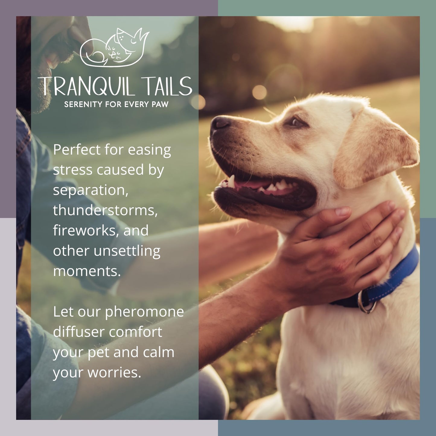 Tranquil Tails Calming Pheromone Diffuser for Dogs with 3 Scented Pads, Anxiety Relief with a Gentle Fragrance to Keep Your Dog Calm Through Summer Days, Separation Anxiety and More