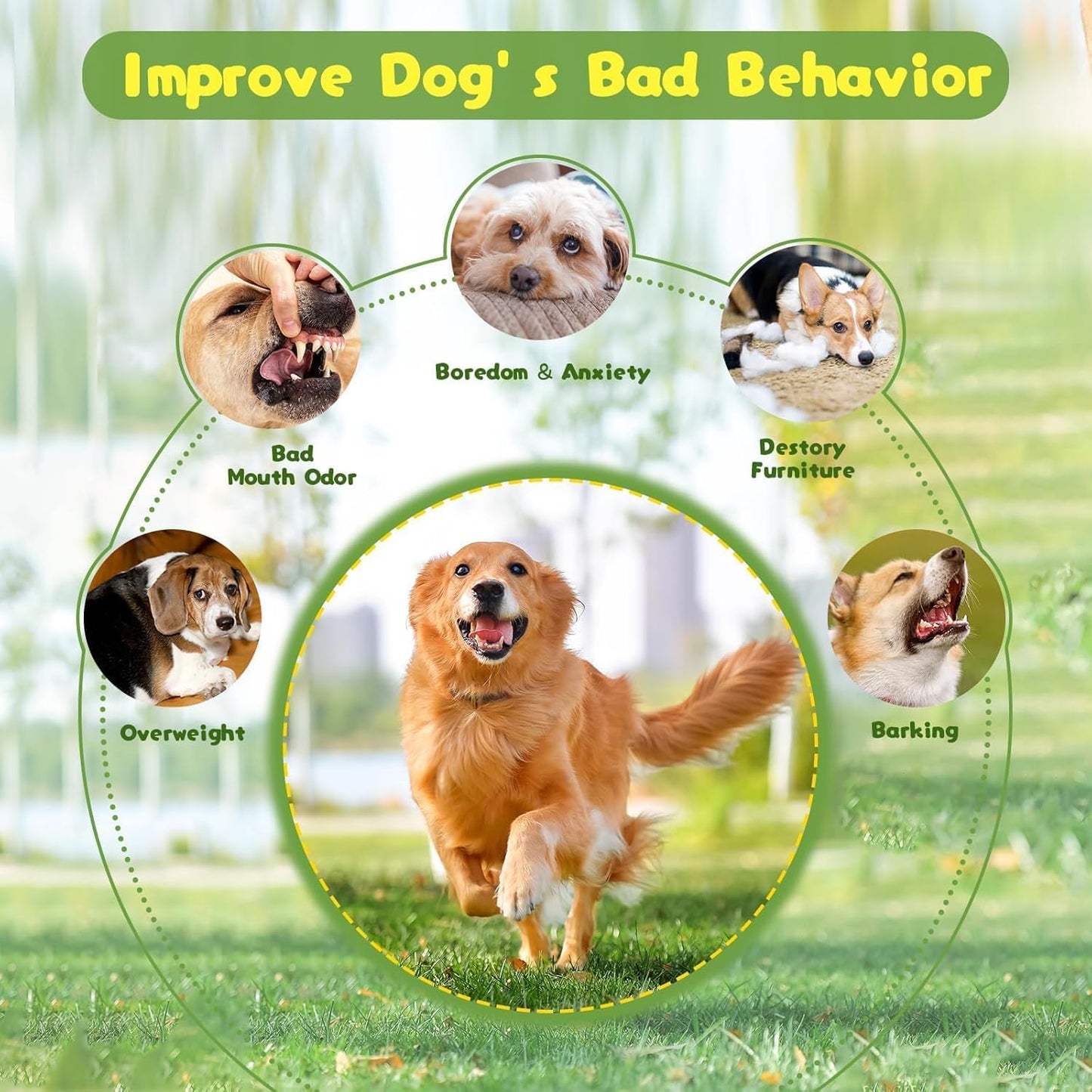 Durachew Dog Toy, Invincible Chewanimals by Wowpetsmart, Indestructible Plush Squeaky Toy for Heavy Chewers, Durable Duck and Frog Design(Frog + Duck)