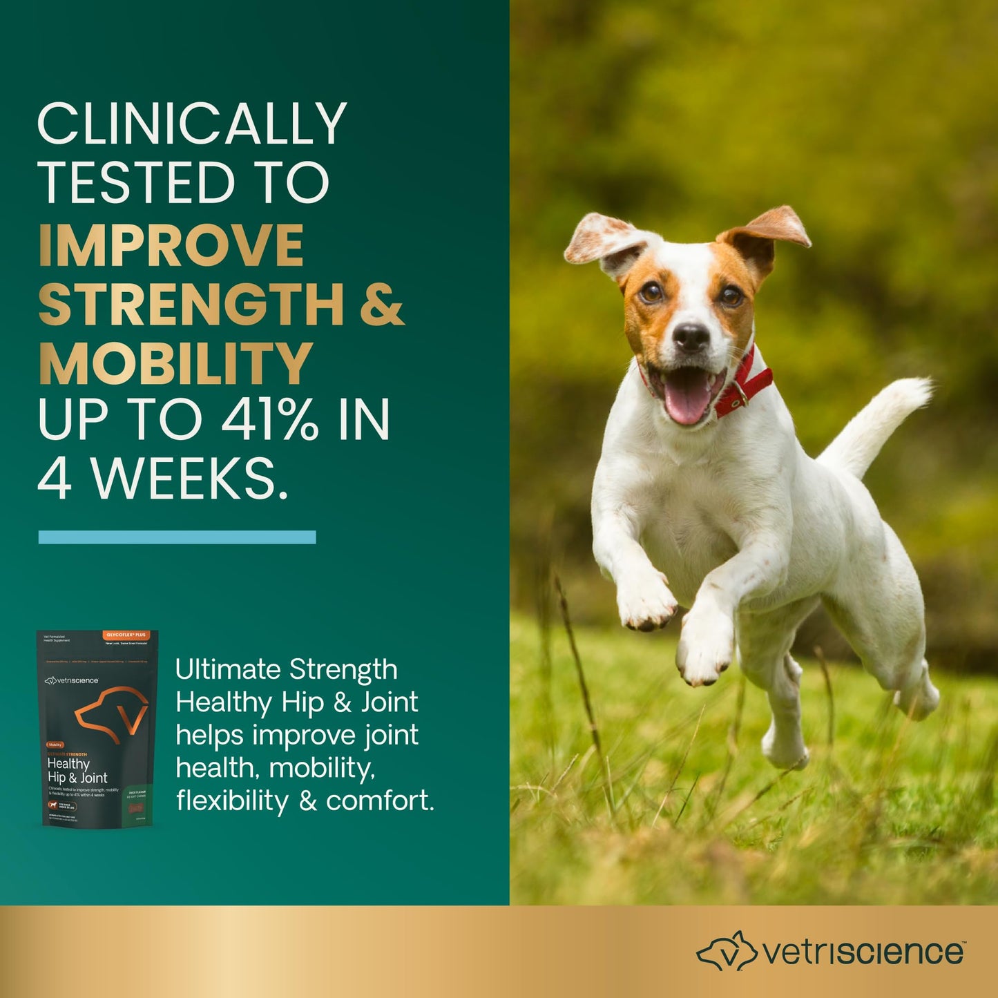 VetriScience Ultimate Strength Healthy Hip & Joint Chews, GlycoFlex Glucosamine, Chondroitin and Green-Lipped Mussel Joint Supplement for Small Breed Dogs, Soothe Joint Discomfort, Duck, 60 Count