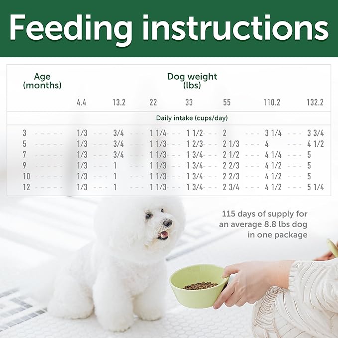 Nature's Protection Superior Care White Dogs Rice Based Dry Dog Food - High Protein, Tear Stain Dog Food for All Breeds Light Coated Puppies, Fresh Pet Meal, White Fish, 22 lb