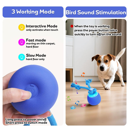 BENTOPAL Interactive Dog Toys Touch Activated Bouncing & Jumping Dog Ball with Rope, Squeaky Doggie Toys to Keep Them Busy