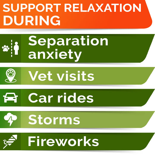 Hemp Calming Treats + Glucosamine for Dogs Bundle - Anxiety Relief + Joint Pain Relief - Hemp Oil + Protein, Chondroitin, MSM, Turmeric - Stress Relief + Improve Mobility - 240 Chews - Made in The USA