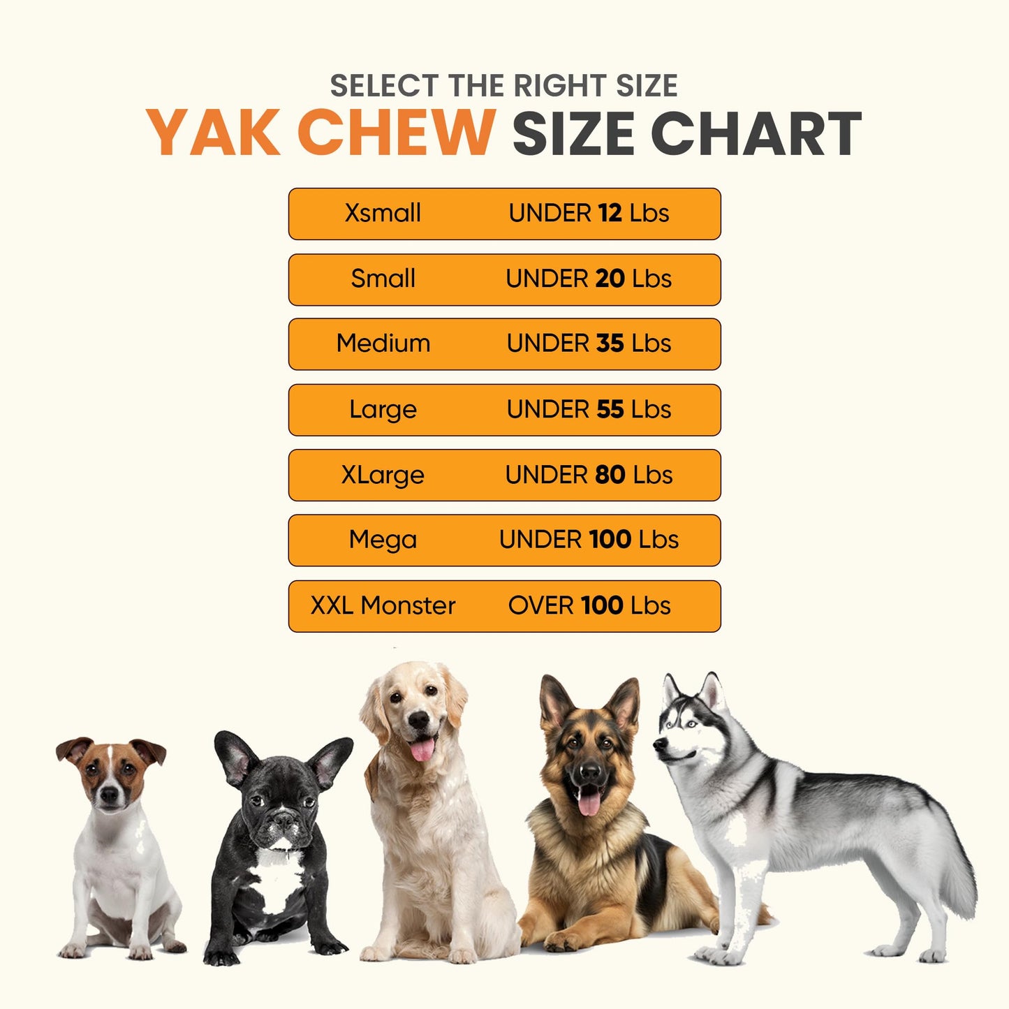 The safest 100% Natural Cheese Chews - Medium (Pack of 6) - NO Chunks, NO preservatives, NO Bad Smell, Great Teeth Cleaner, Super Long-Lasting, for Medium Dogs