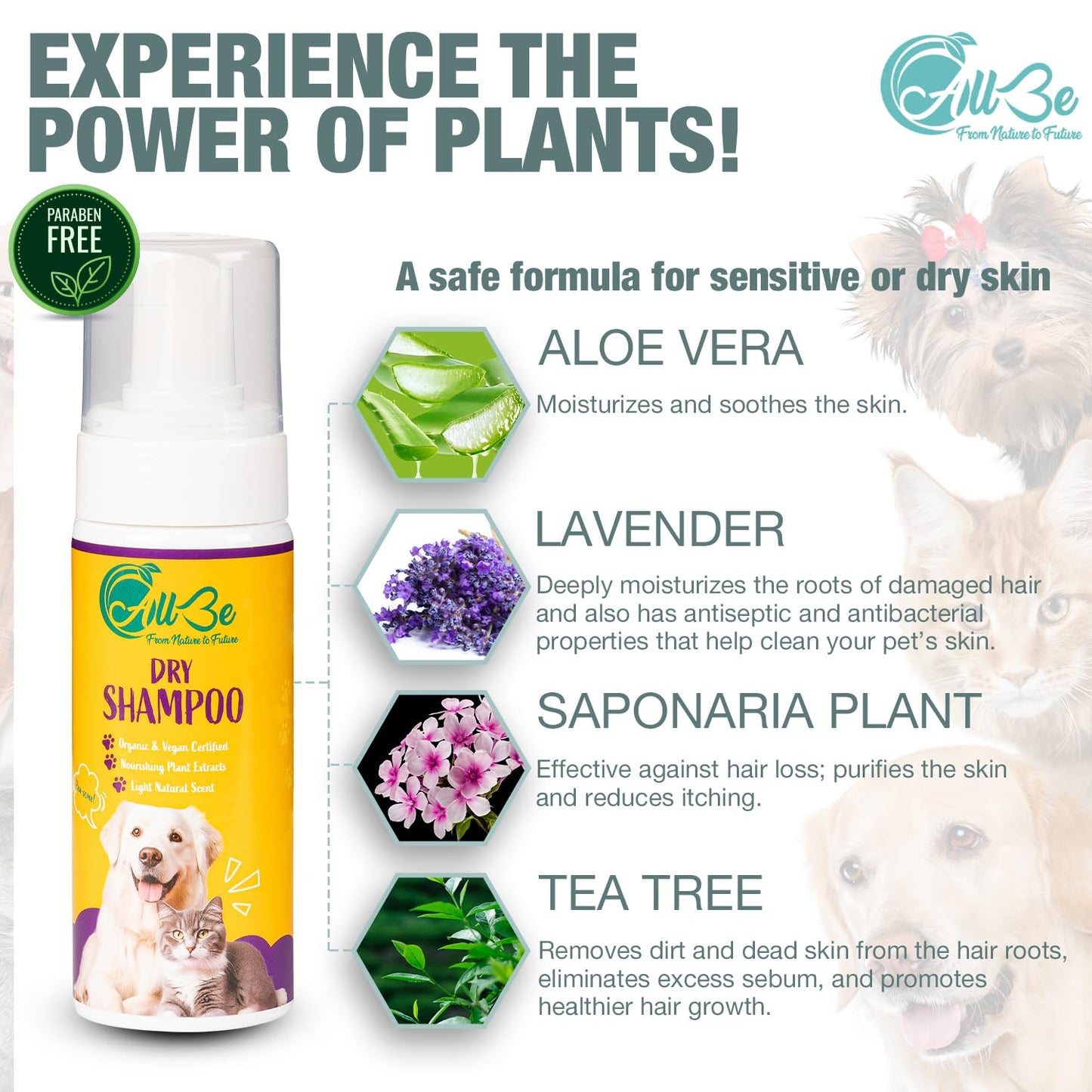 ALLBE Waterless Dry Shampoo for Dogs & Cats, No Rinse Waterless Cat & Dog Shampoo, for Sensitive Skin, Itch Control, No Dog Wash, Deep Cleans & Conditions, Anti-Shedding Pet Care for Smelly Dogs, 5 Oz
