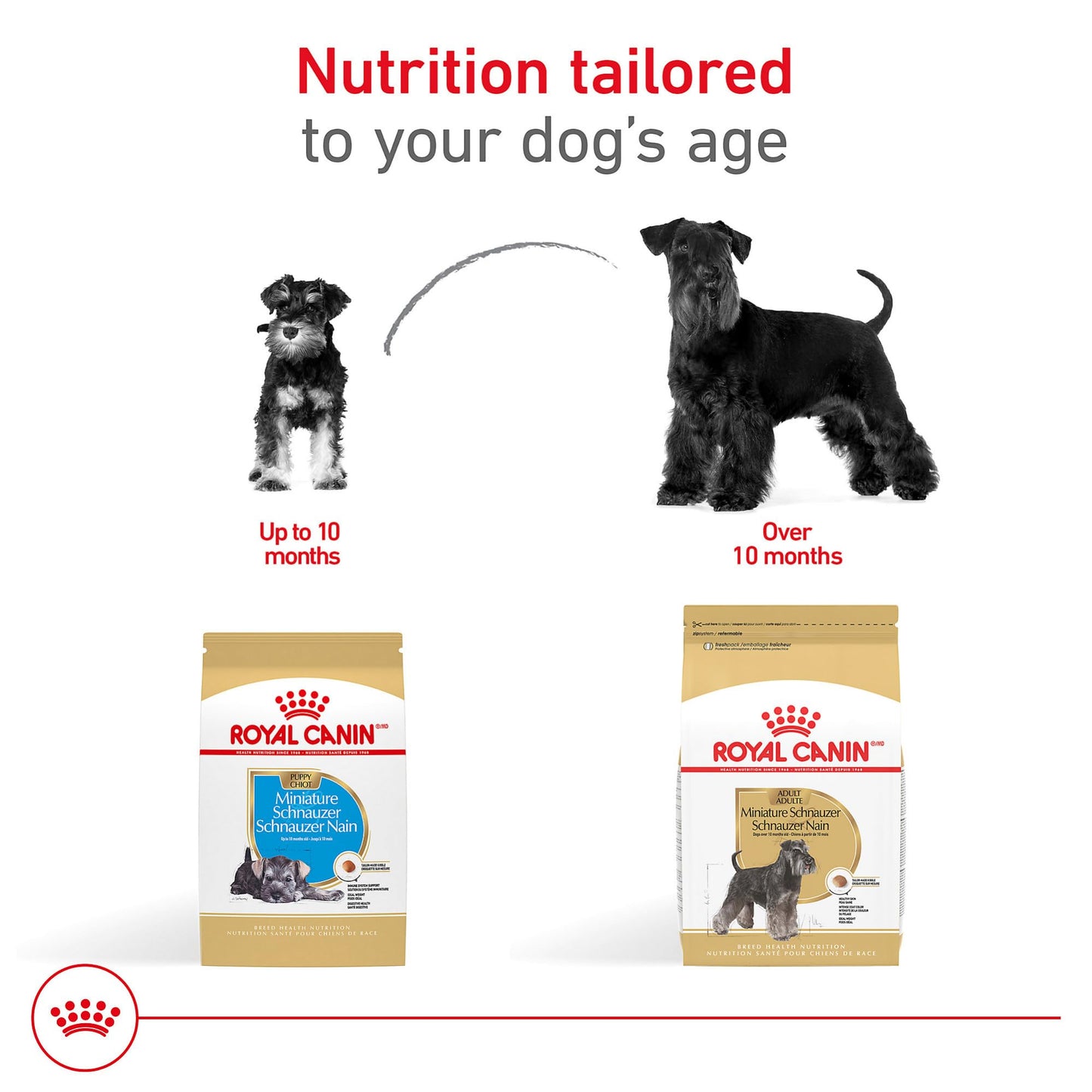 Royal Canin Miniature Schnauzer Adult Breed Specific Dry Dog Food, 10 lb Bag