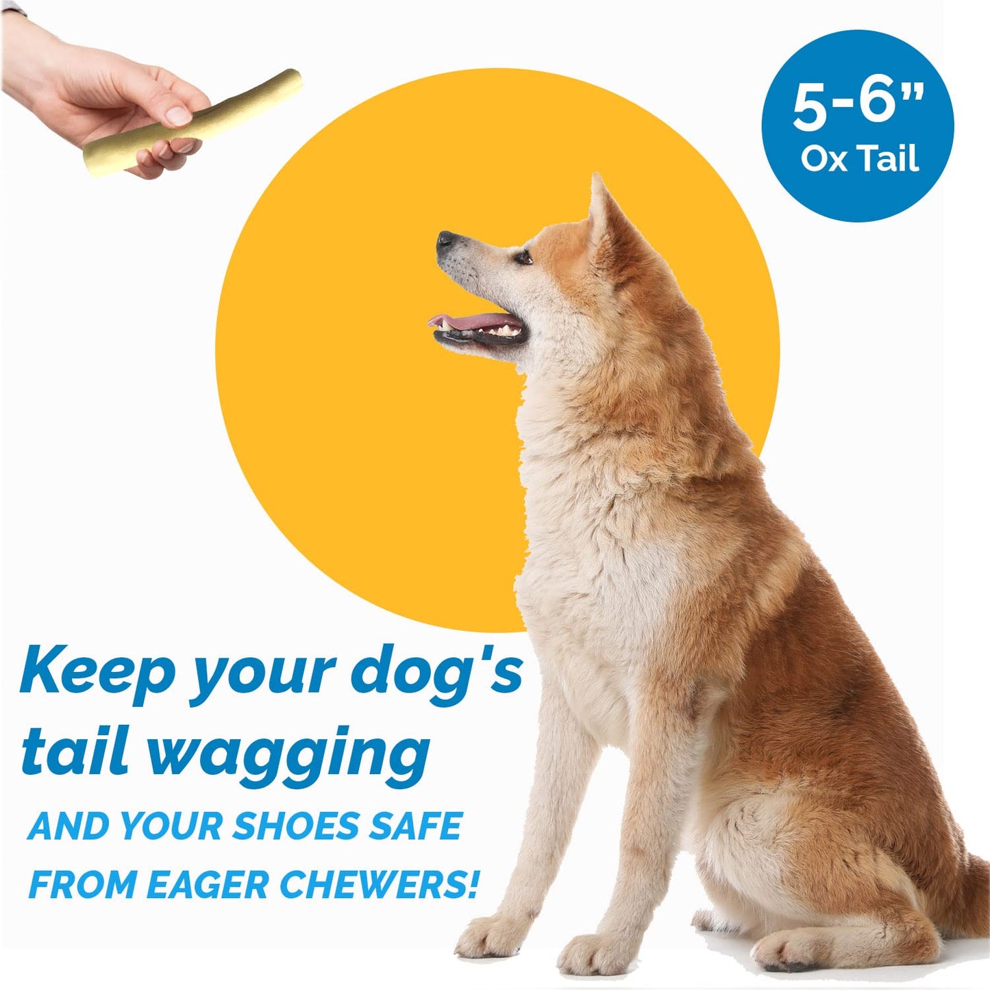 123 Treats Cow Tails for Dogs 5-6" - (25 Count) 100% Natural Long Lasting Chew Treats for Dogs, High Protein Beef Bull Sticks, Single Ingredient, Sourced from Free Range Grass-Fed Cattle