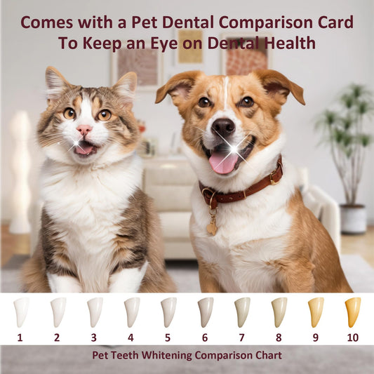 5 Pack Pet Finger Toothbrush & Brush Kit for Small Dogs Cats - Gentle Soft Bristles, Easy Use Dental Care for Puppy Kitten