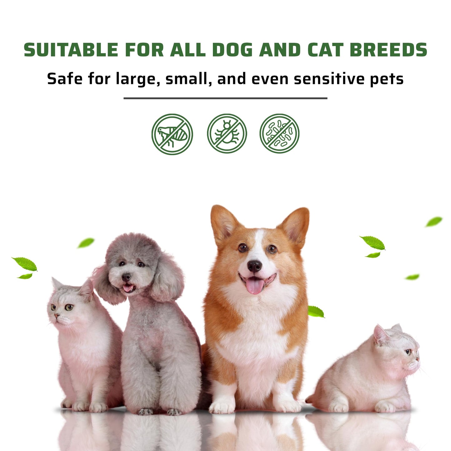 PE4U Natural Pet Shampoo for Dogs & Cats – Itch Relief, Odor Control & Deep Cleansing – Plant-Based Formula – Safe for Sensitive Skin, Reduces Shedding [Shampoo + Spray]