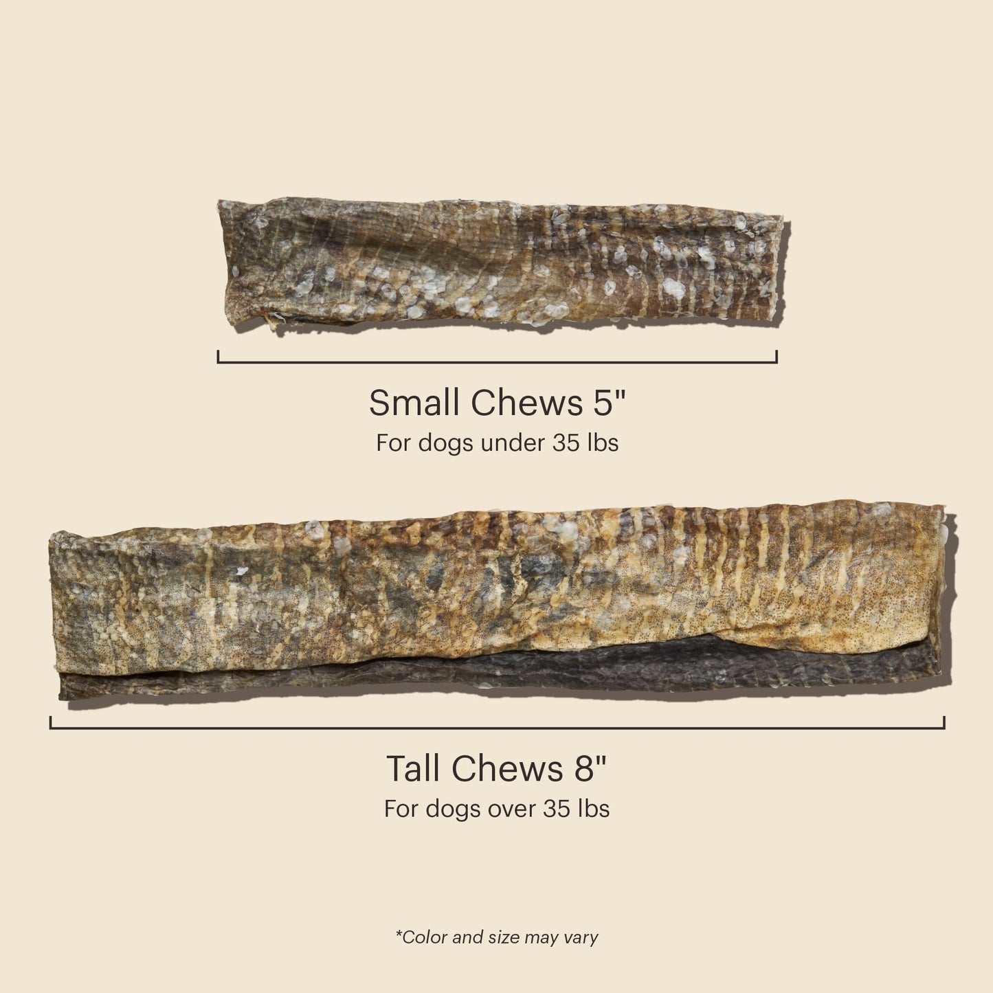 The Honest Kitchen Ocean Chews™ Crispy Cod Fish Skins Dog Treats, 2.75 oz (Beams™)