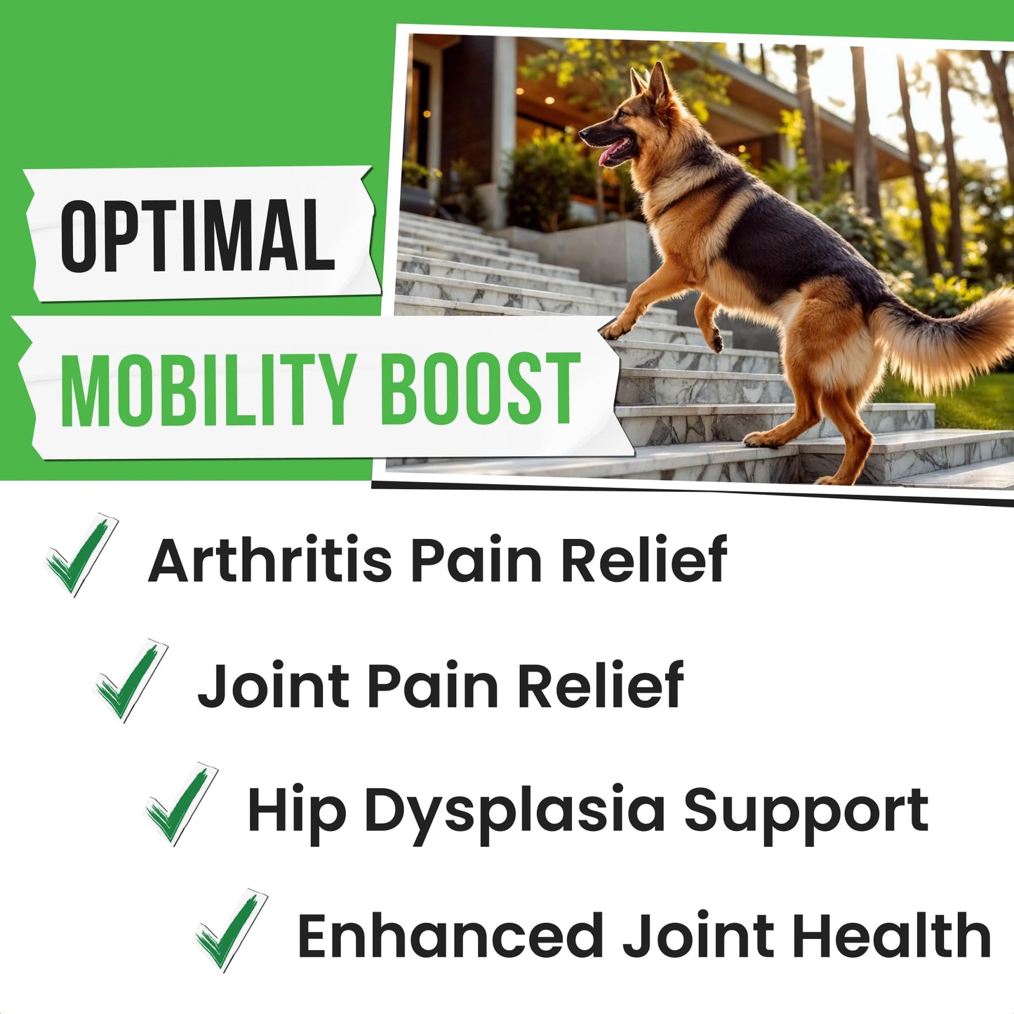 Advanced Hemp Hip & Joint Supplement for Dogs - Glucosamine for Dogs - Dog Joint Pain Relief Treats - Chondroitin Turmeric MSM Hemp Oil - Hemp Treats for Joint Health - Senior Mobility Support Chew