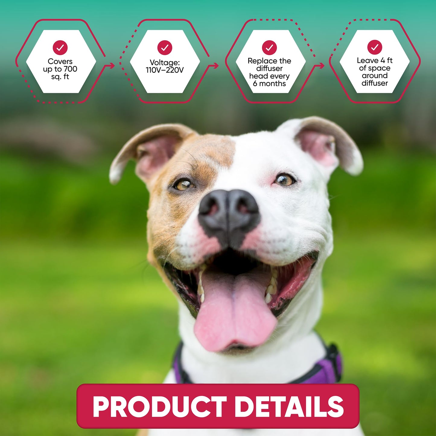 TriOak Pheromone Diffuser for Dogs: Advanced Dog Calming Diffuser - Calming Pheromones for Dogs - Dog Appeasing Pheromone - Dog Calming Diffuser for Dog Anxiety Relief, 2 Pack (Mint Blue)