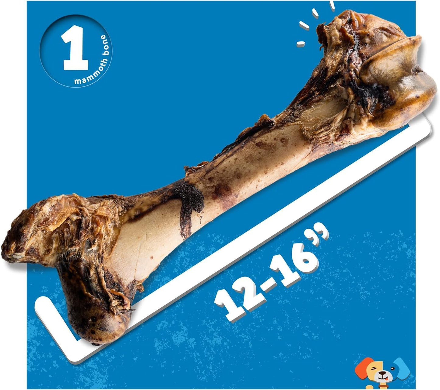 Jack&Pup Mammoth Big Dog Bones for Large Dogs, 15" Femur Beef Bones for Agressive Chewers, Natural Giant Dog Bone (1 Pack)