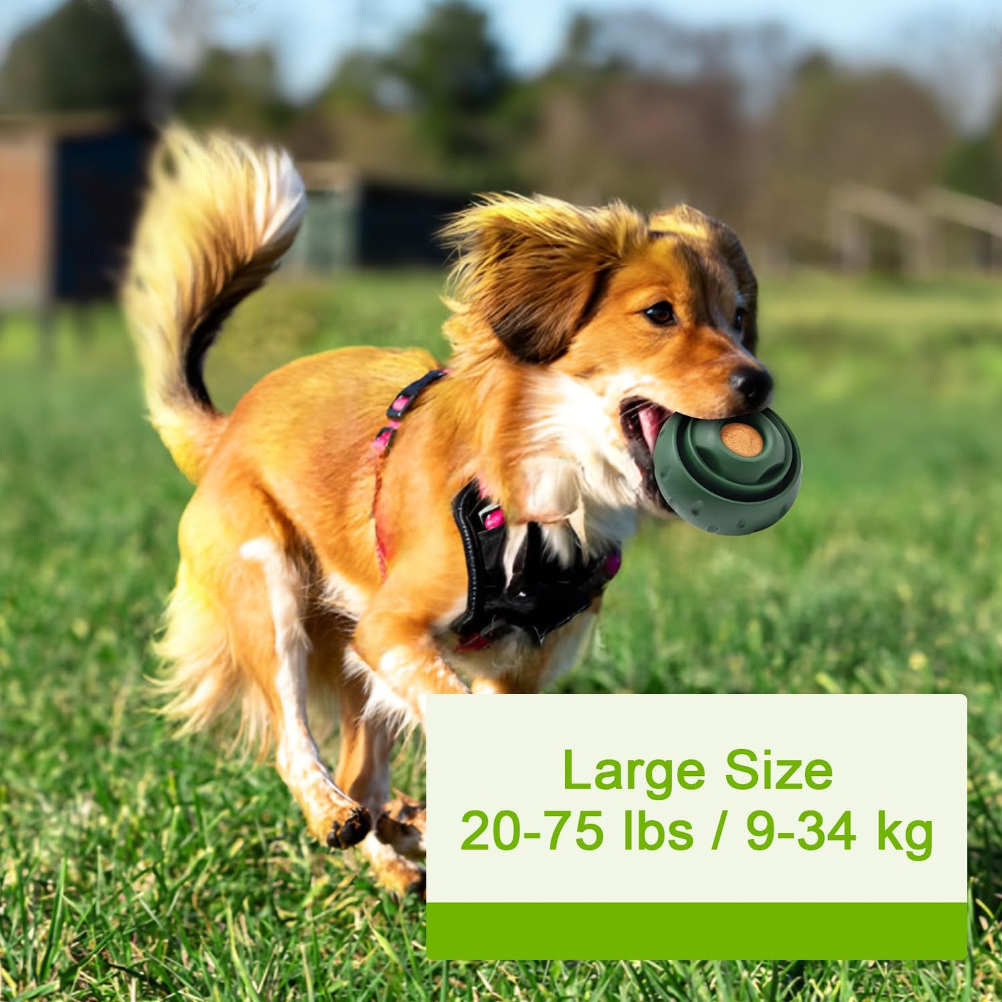 Dog Chew Toys Natural Rubber Fun to Chew, Chase and Fetch for Medium Dogs 25 lbs and Up, Keep Distracted, Slow Feeder, Teething Toy Ball, Anxiety Relief Boredom Reducer Corgi Labrador