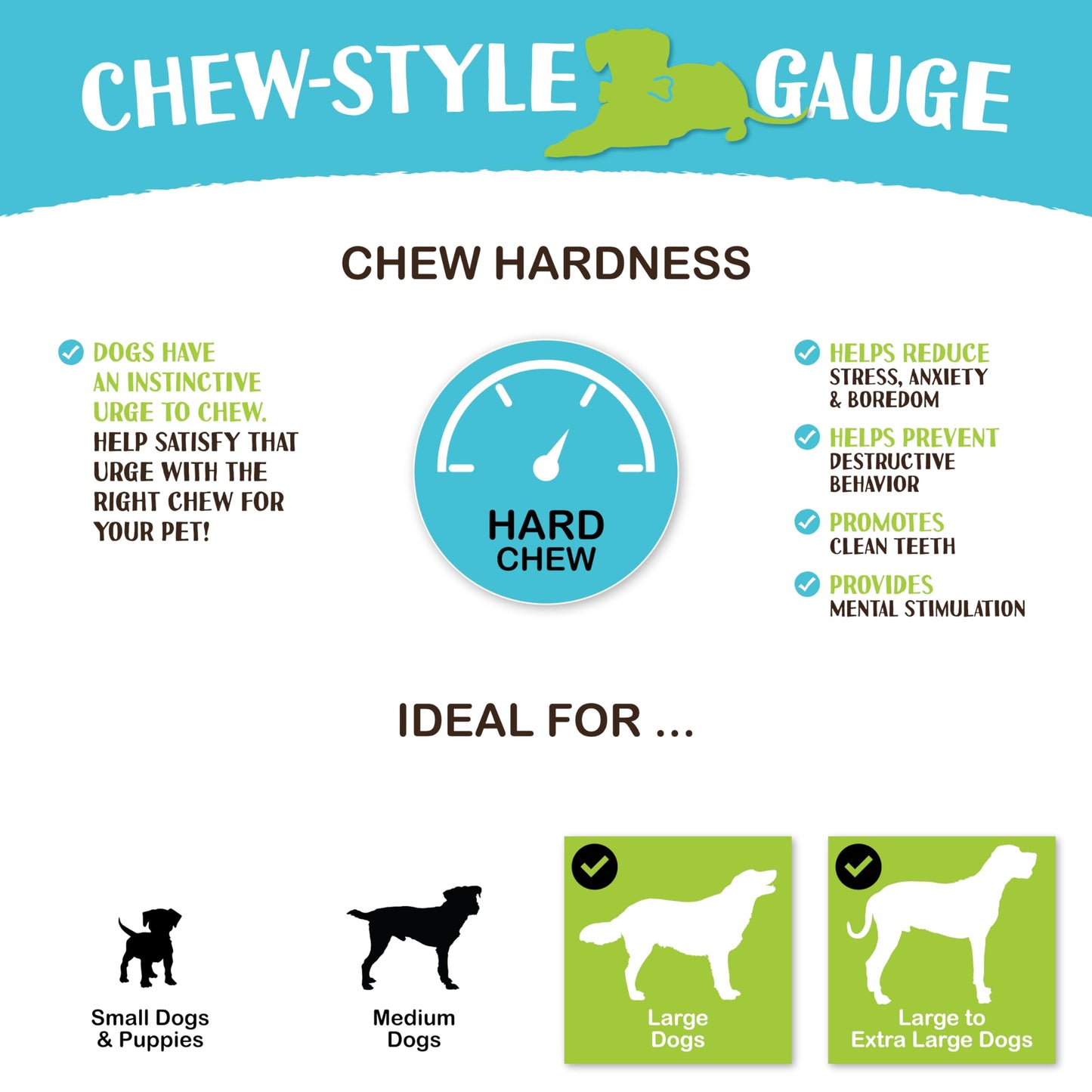 Raw Paws 10-inch Compressed Rawhide Bones for Dogs, 2-Count - Packed in USA - Long Lasting Dog Chews - Natural Pressed Rawhides - Large Dog Bones - Raw Hide for Aggressive Chewers