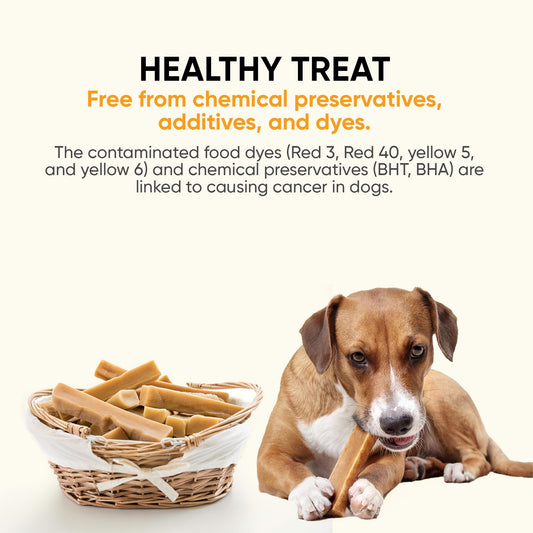 The safest 100% Natural Cheese Chews - Medium (Pack of 6) - NO Chunks, NO preservatives, NO Bad Smell, Great Teeth Cleaner, Super Long-Lasting, for Medium Dogs