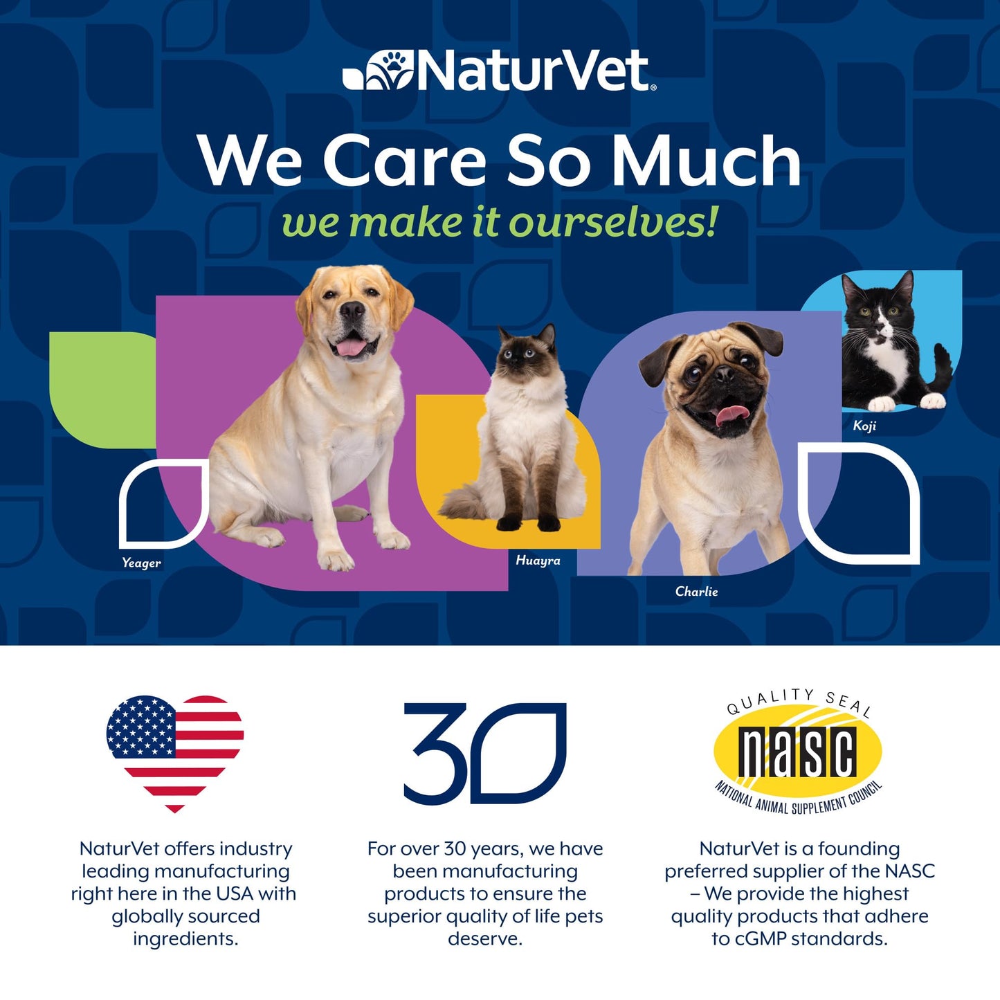 NaturVet All-in-One Adult Dog Daily Care, 10-in-1 Supplement Dog Soft Chews for Mobility, Skin, Digestion, Teeth, Cognition, Eyes, Hickory Smoked Bacon Flavored Pet Supplement for Dogs, 60 Count
