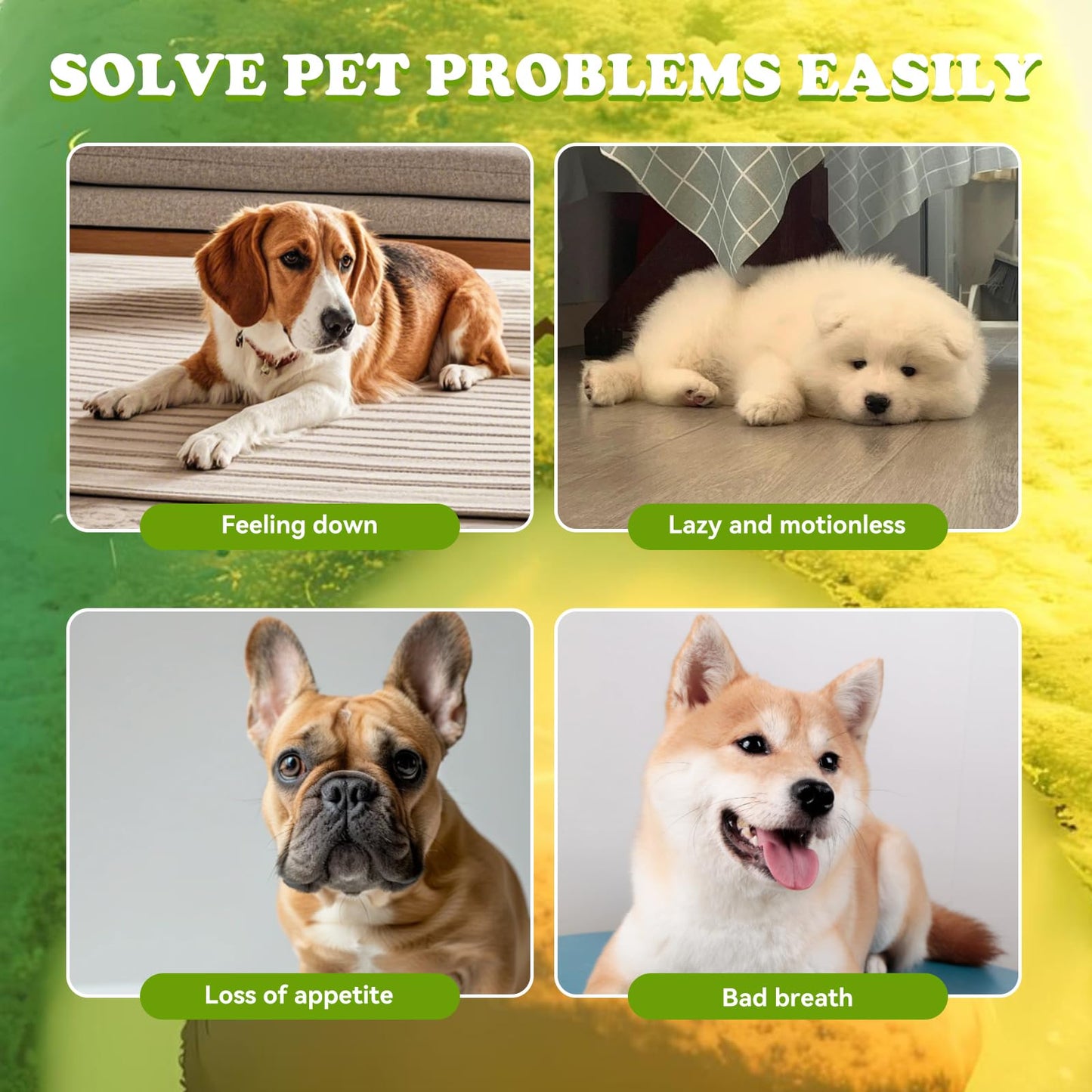 M.C.works Puppy Chew Toys, Dog Chew Toys for Average Chewer, Tough Dog Dental Freezable Toy, Treat Dispensing Toys for Small Medium Dogs, Stuffable Toys for 10-30 Pounds