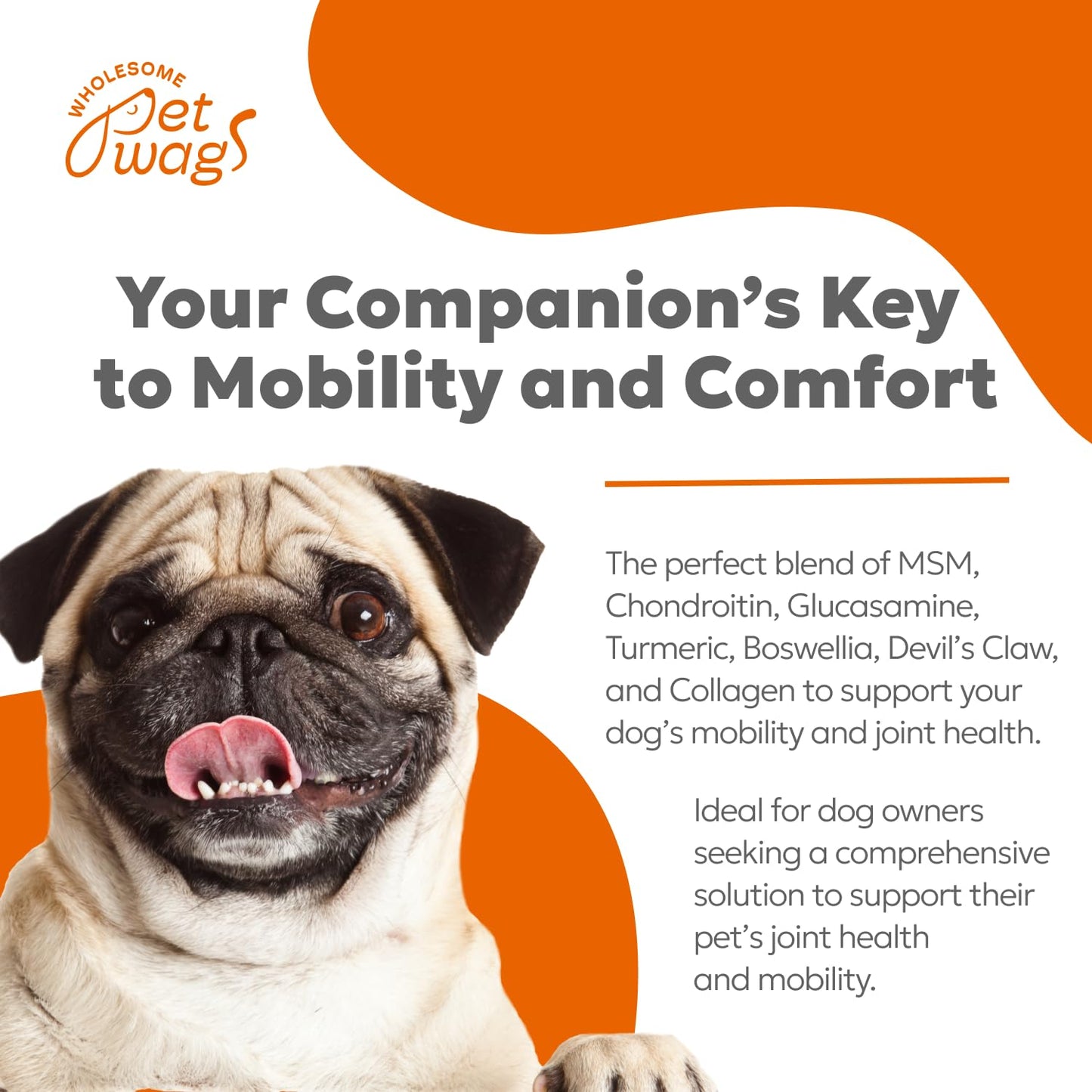 Wholesome Pet Wags Dog Hip & Joint Supplement Soft Chews – Advanced Mobility & Comfort Support – Glucosamine, Chondroitin, MSM, Turmeric, Boswellia, Collagen – 60 Count