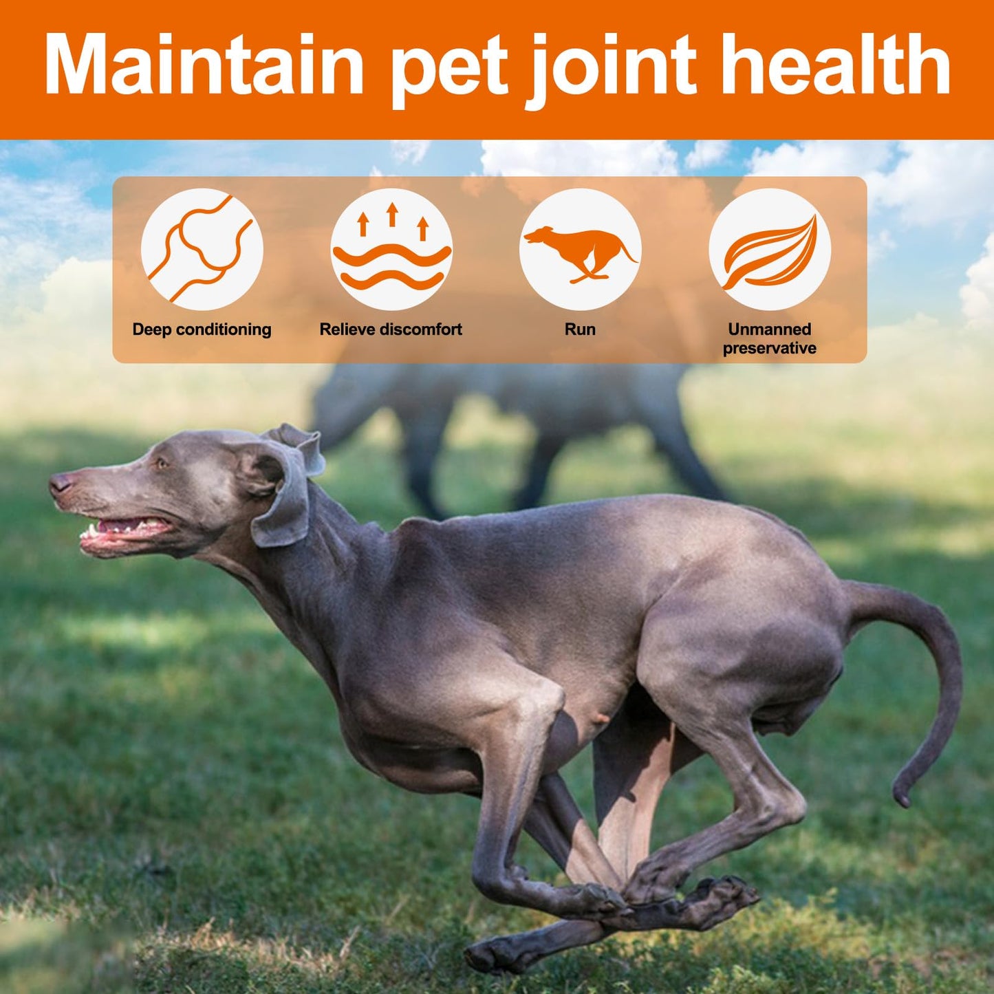 Hip and Joint Supplements Chews for Dogs, 30PCS Hip & Joint Care Tablets with Glucosamine, Chondroitin, Green-Lipped Mussels and Vitamins for Dog Joint Care (Duck Flavor)