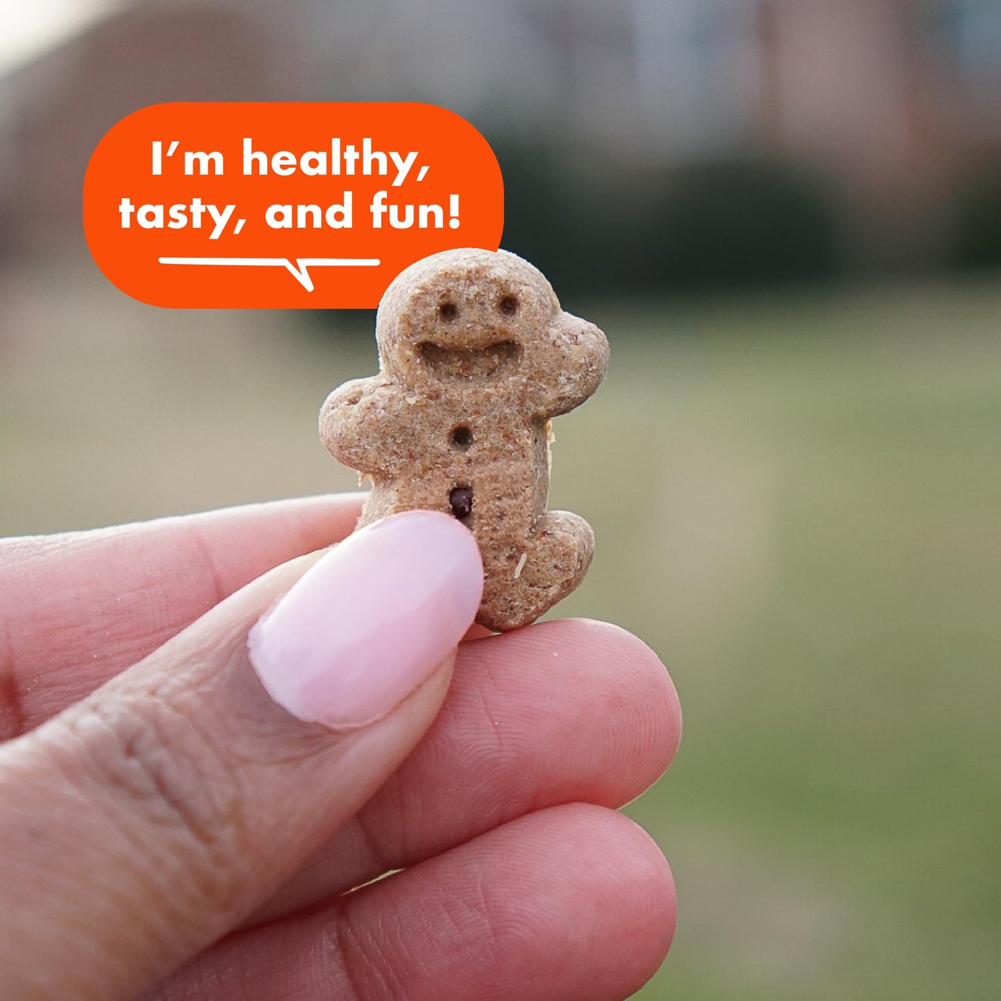 gazeupon Dog Treats，Chicken&Duck Wrapped Sweet Potato，Healthy Training Snacks for Dogs, Rawhide Free,14.1 oz