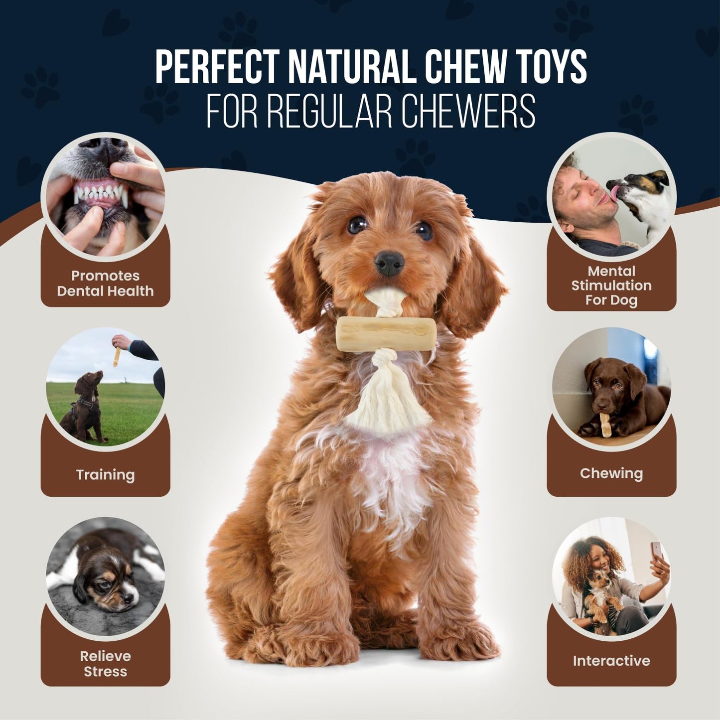 GOWGOW 4 Pack Real Coffee Wood Stick for Dogs 15-40 lbs, Puppy Teething Toys, 100% Natural Puppy Wood Chew Toys, Stress Relief - Woodden Bones for Dogs - Natural Rope Toys