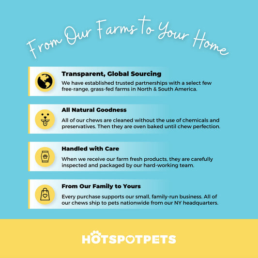 hotspot pets Premium 12'' Beef Trachea for Dogs Large - (5 Pack) All Natural Long Lasting Dog Chews Rich in Glucosamine & Chondroitin 100% Beef Chews Single Ingredient Grass Fed Dog Treats