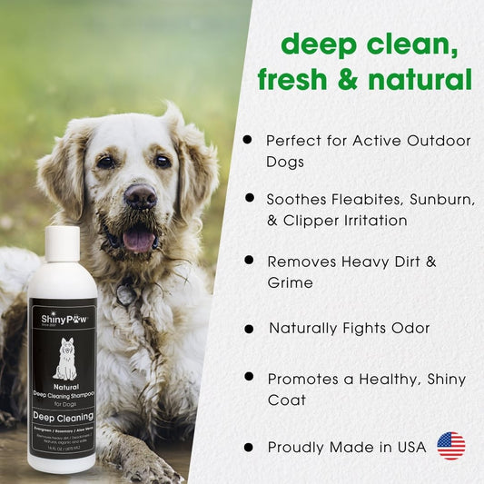Shiny Paw Natural Deep Cleaning Organic Dog Shampoo 16 oz | Dog Itching Skin Relief with Evergreen, Aloe & Rosemary | Natural Dog Shampoo for Smelly Dogs