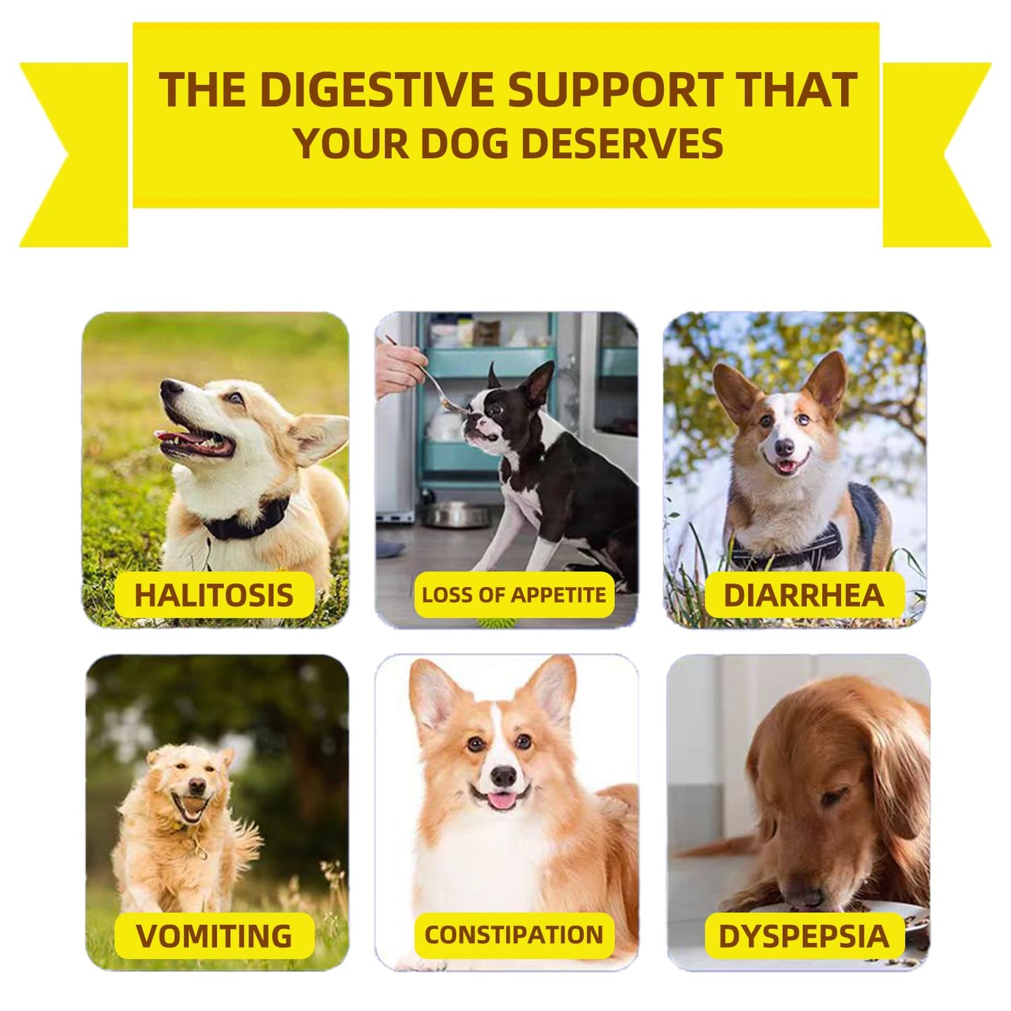 Probiotics for Dogs - Grain Free Digestive Support for Gut Health & Skin Comfort - Delicious Soft Treats with Prebiotics for Puppy, Adult & Senior Dog