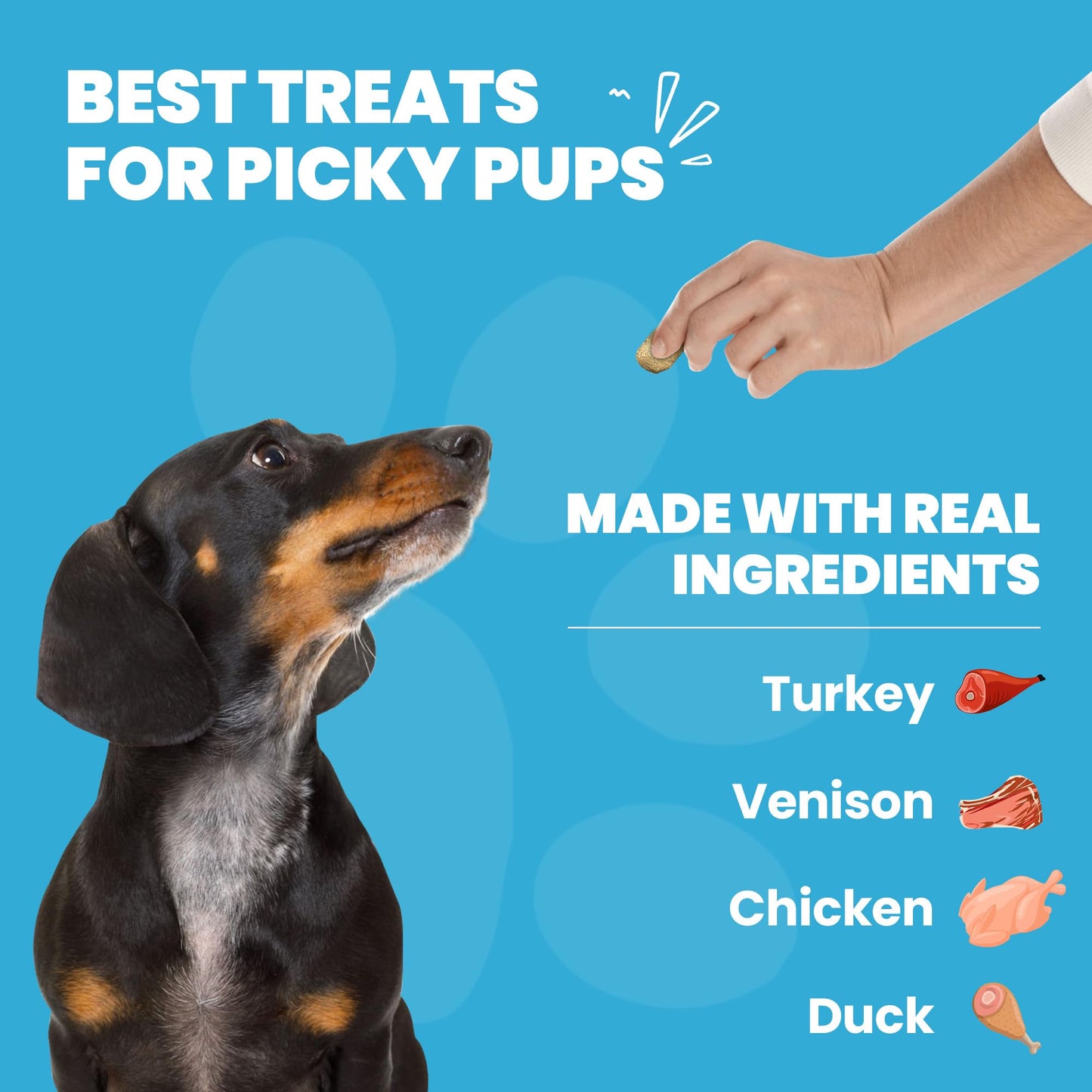 Peanut Butter Dog Treats, Healthy Puppy Treat, Pumpkin, Cricket, Gift for Pet Lovers, Natural Dog Snacks, Hypoallergenic, Gut-Healthy, Medium and Large Dogs, Sustainable Products