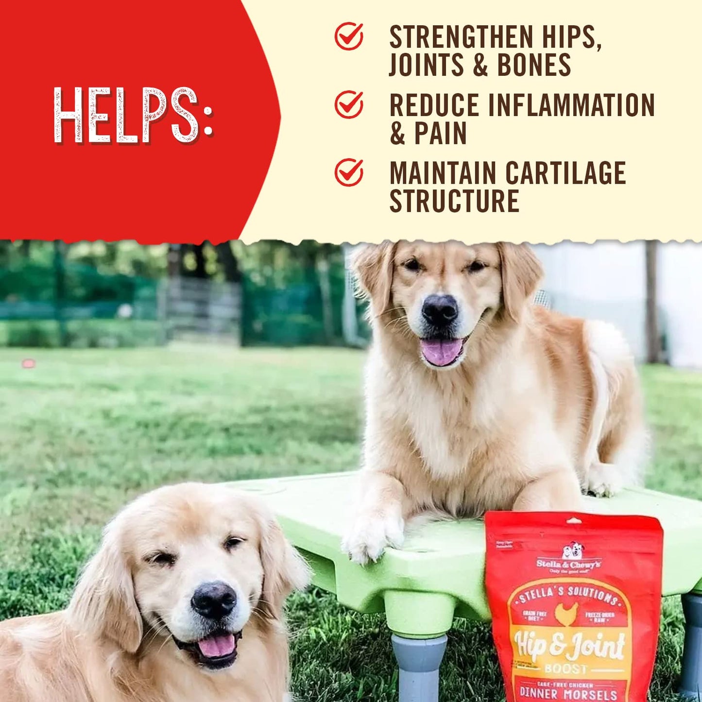 Stella & Chewy's Freeze-Dried Raw Dog Food for Hip & Joint - Cage-Free Chicken - Natural Solution for Joint Pain, Mobility & Inflammation - Premium Raw Nutrition - 13 oz