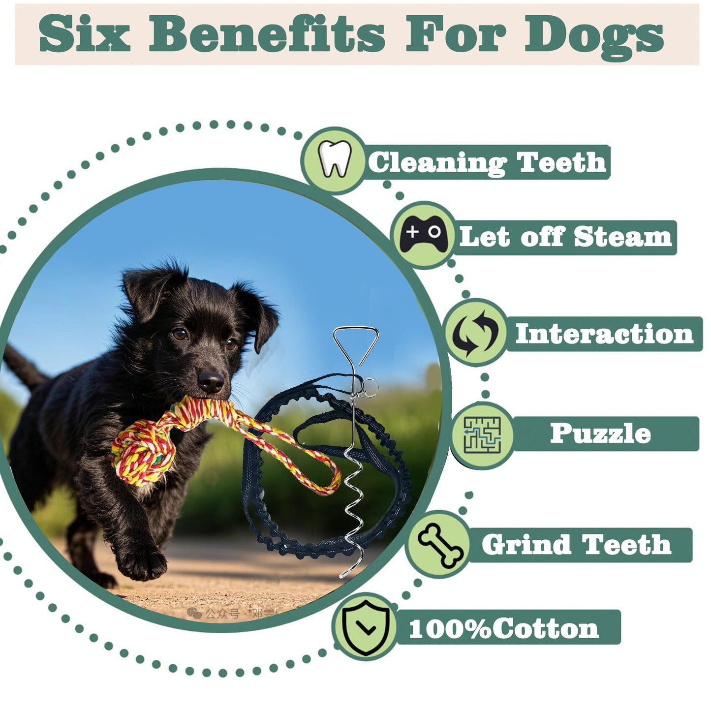 Dog Bungee Tug Toy for Large/Medium/Small Dogs, Dog tug of war Toy with Stake,Outdoor Interactive Toys Can Be Used on Lawns or Trees