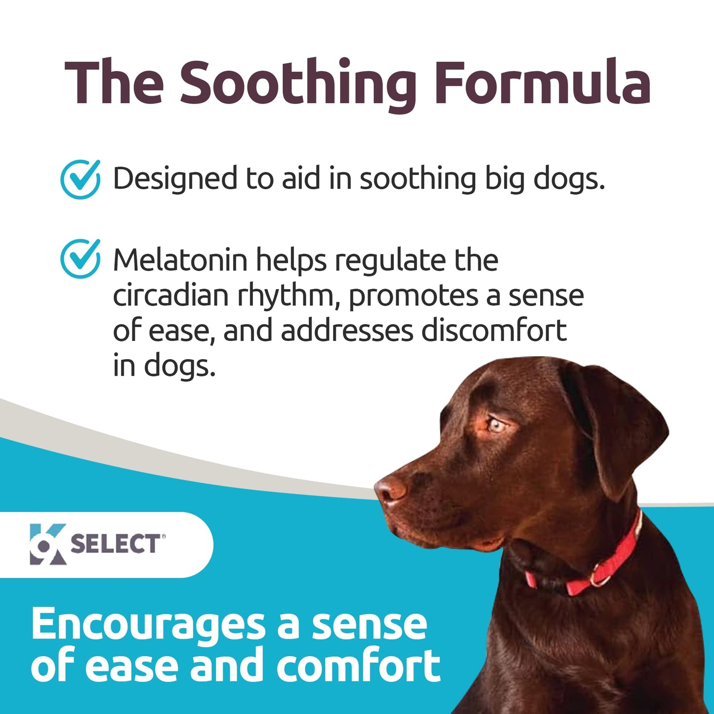K9 Select Melatonin for Large Dogs - Composure Dog Calming Chews - Dog Melatonin for Sleep - Reduce Stress for Large Dogs - 6 mg, 90 Beef Flavored Chewable Tablets